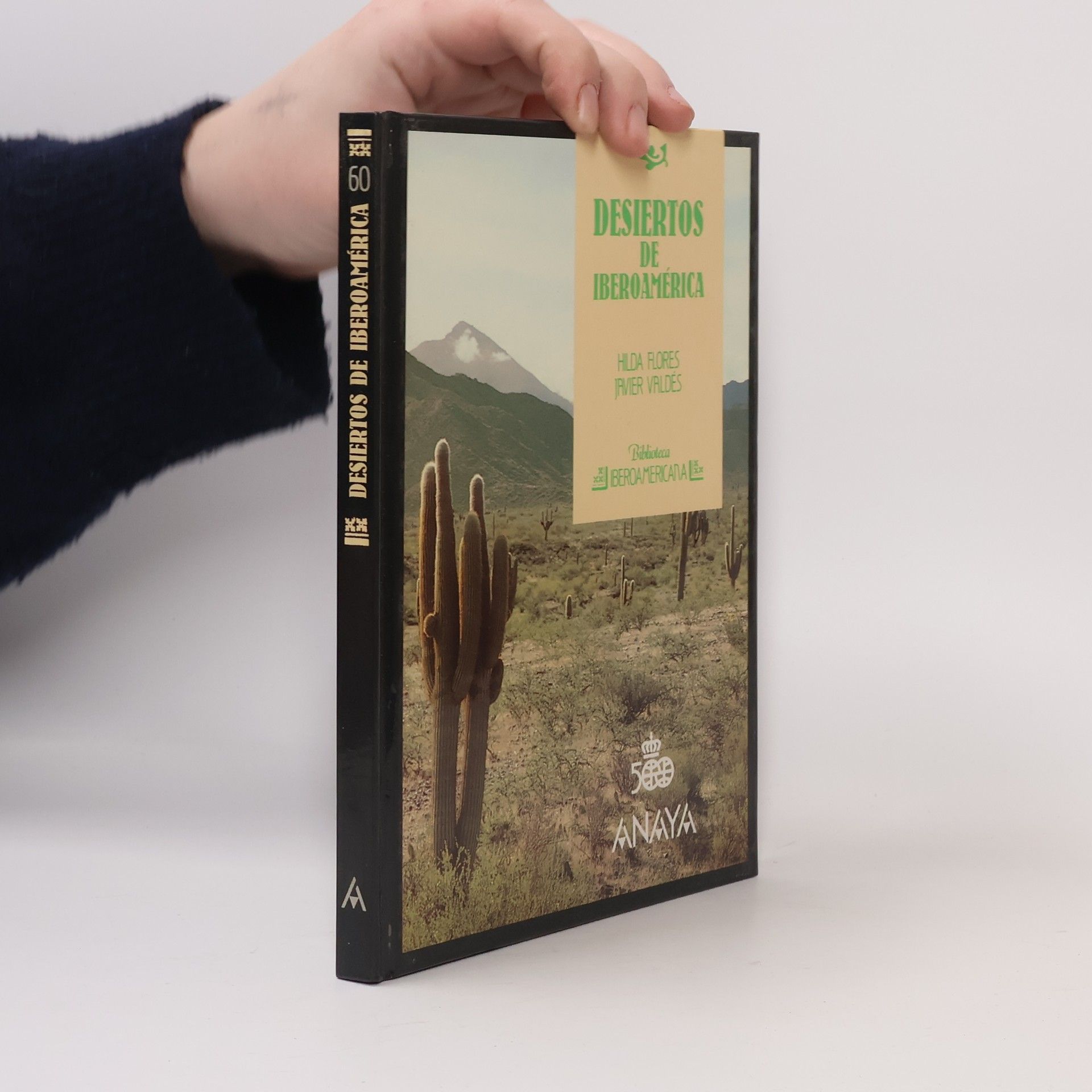 Hilda Flores Desiertos de Iberoamérica