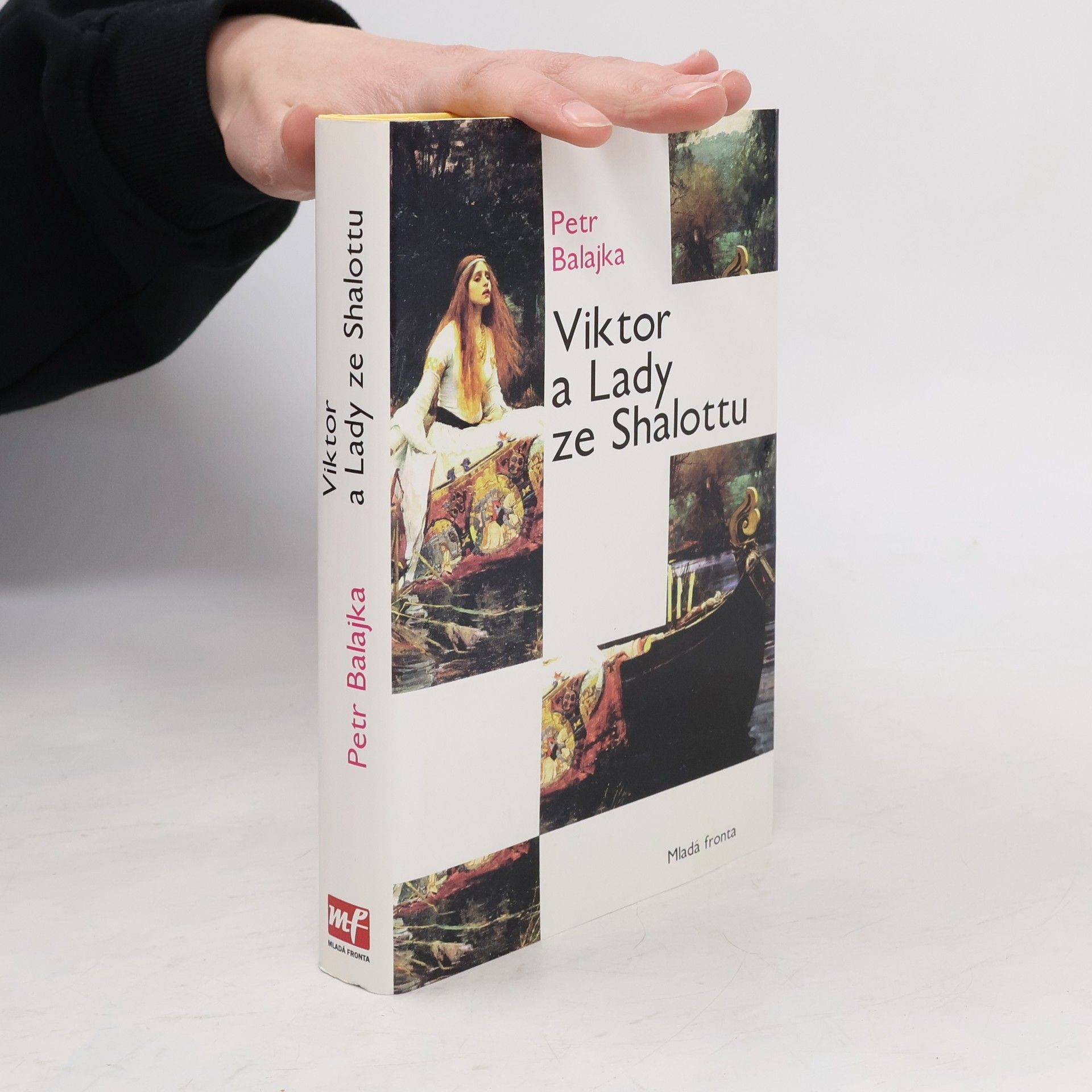 Petr Eidler Viktor a Lady ze Shalottu