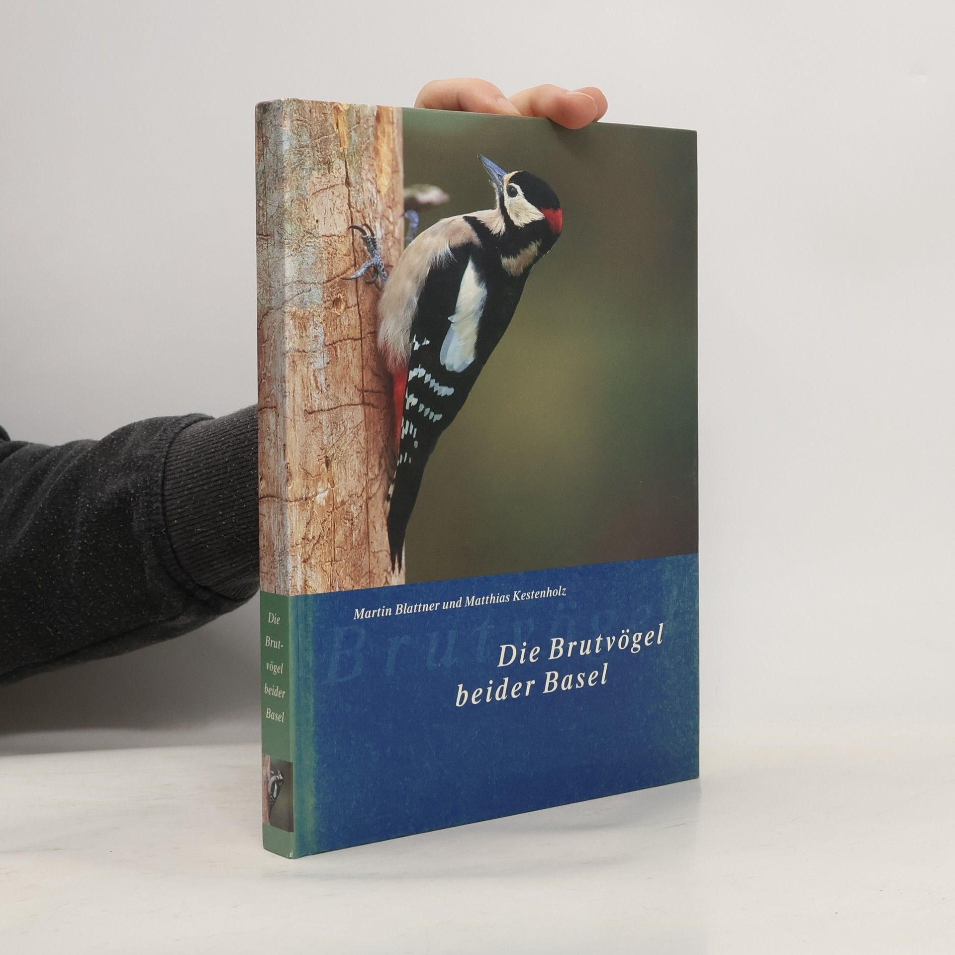 Martin Blattner Die Brutvögel beider Basel