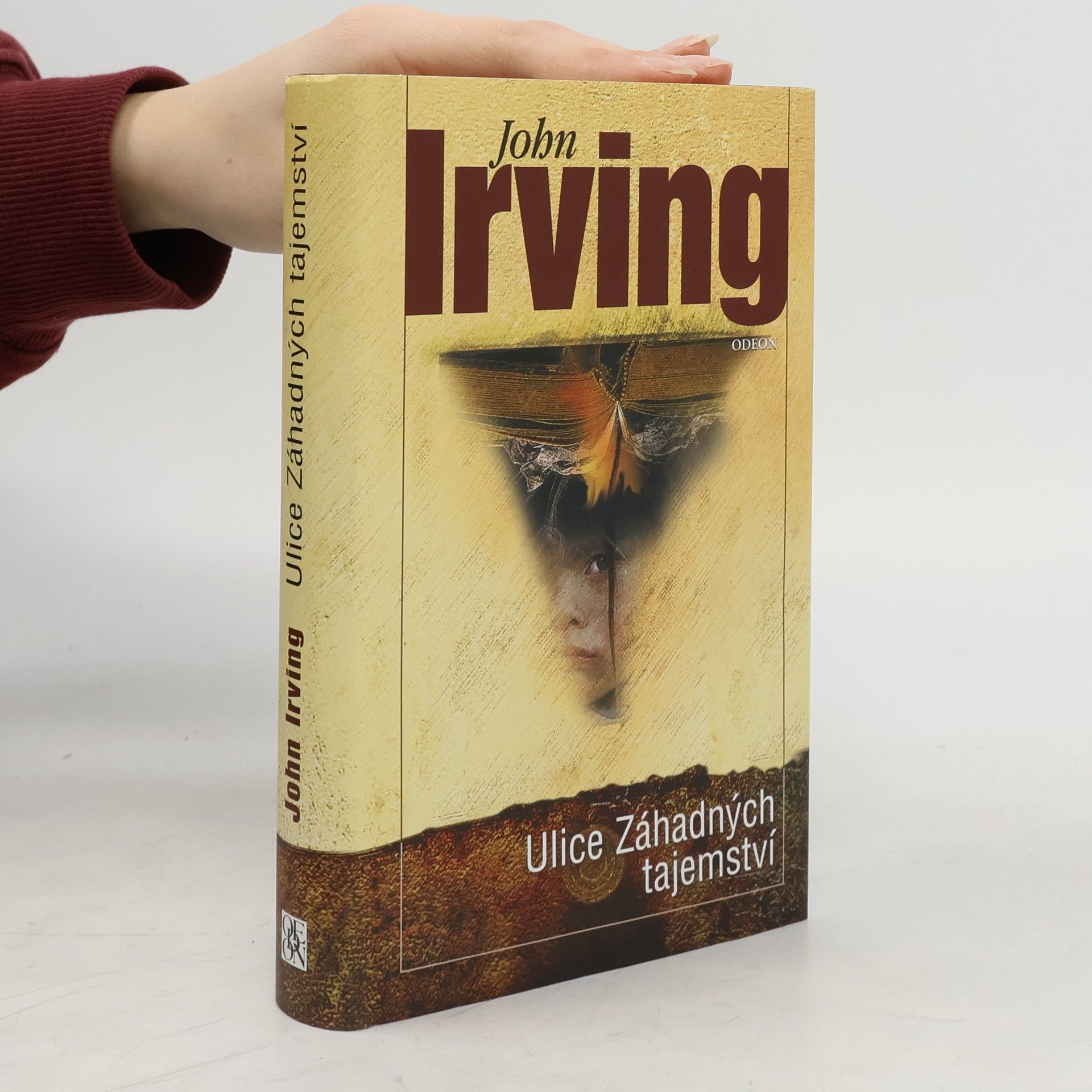 John Irving Ulice Záhadných tajemství