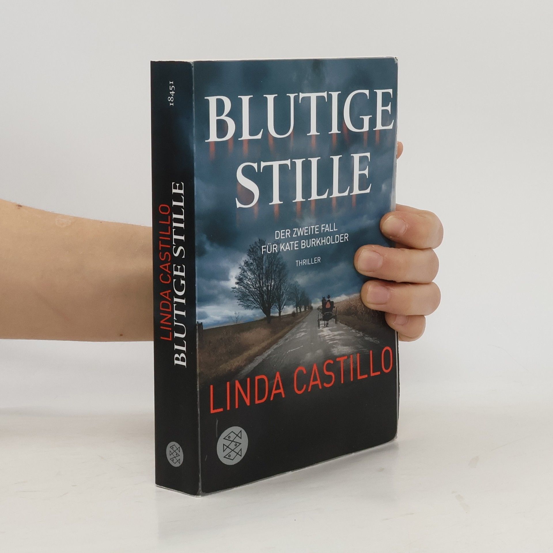 Linda Castillo Blutige Stille
