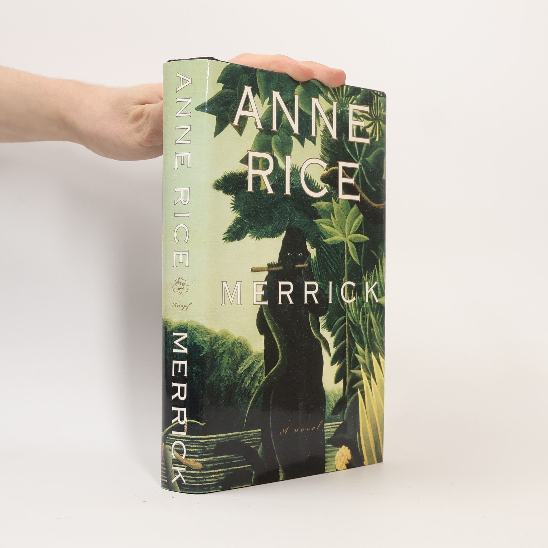 Anne Riceová Merrick