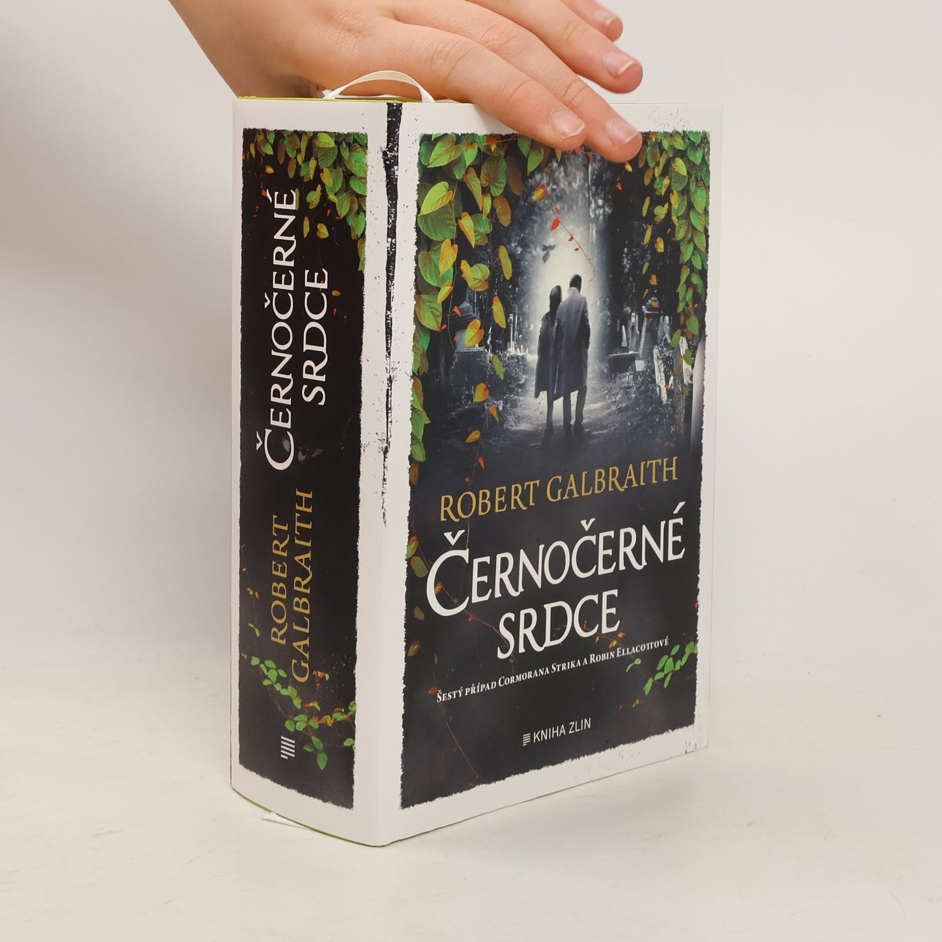 Robert Galbraith Černočerné srdce