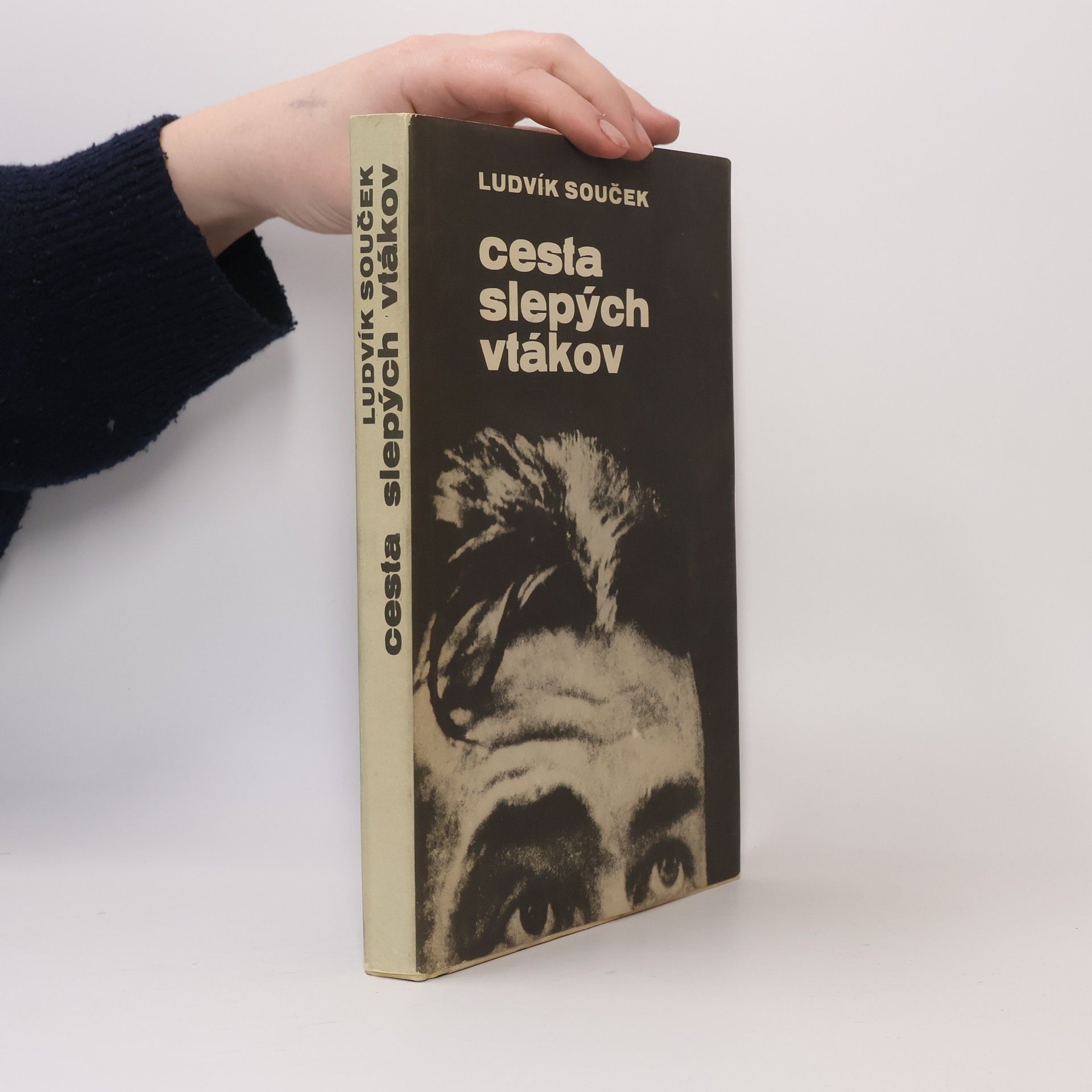 Ludvík Souček Cesta slepých vtákov