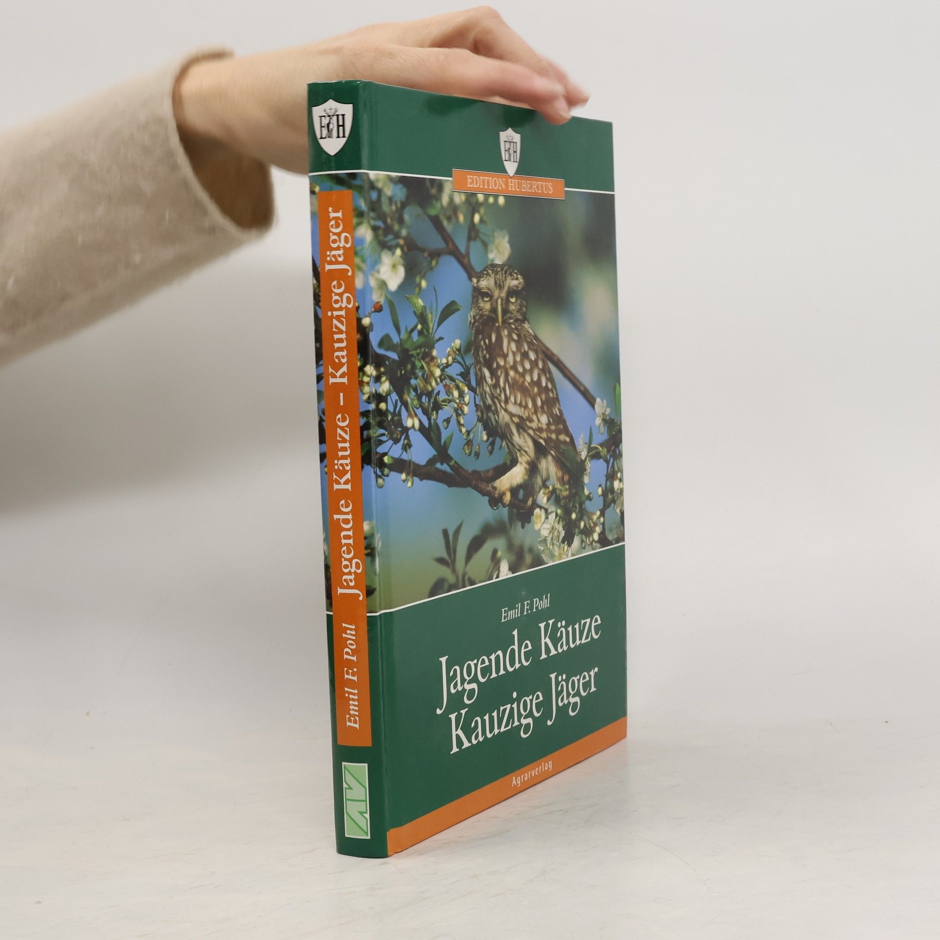 Jagende Käuze, kauzige Jäger
