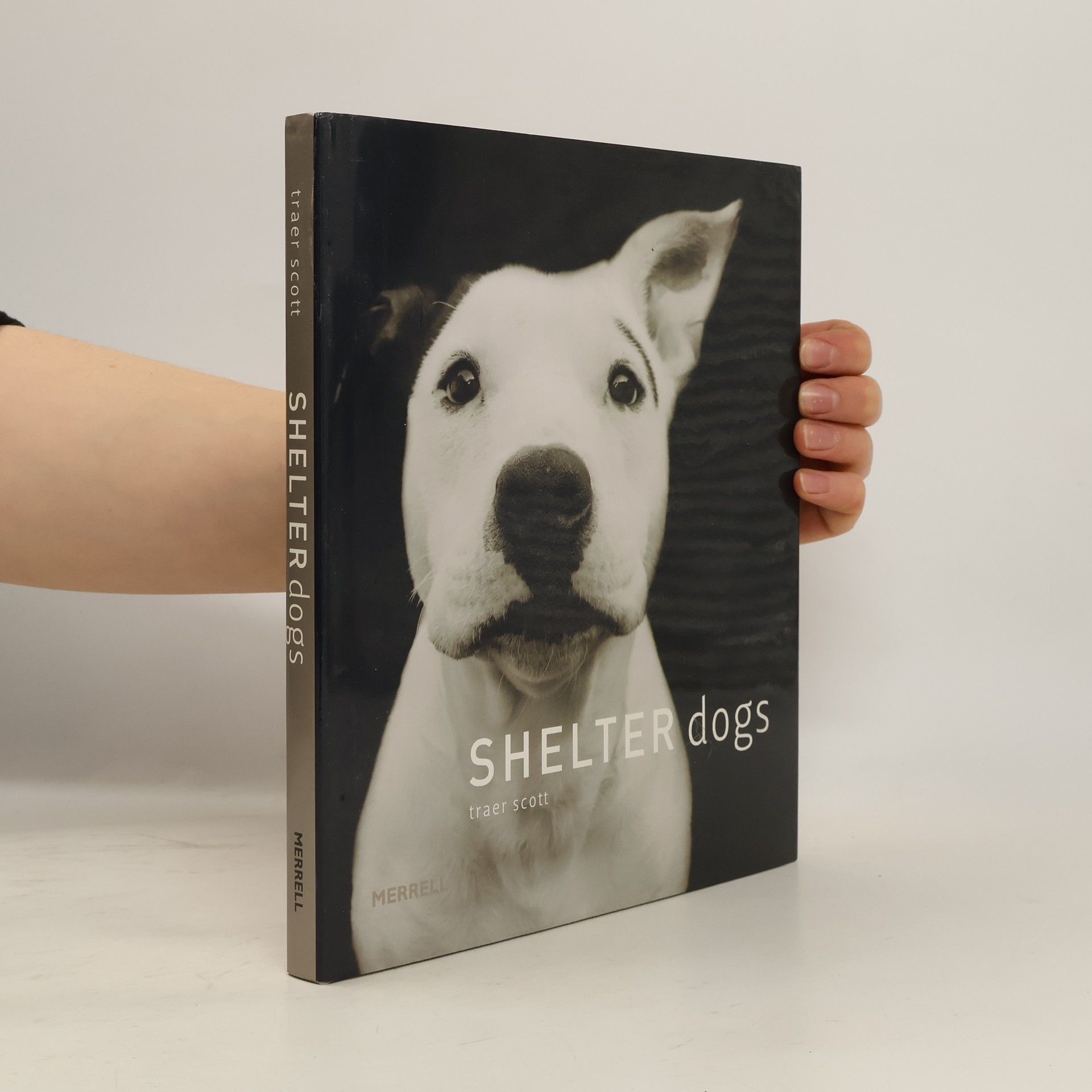 Traer Scott Shelter Dogs