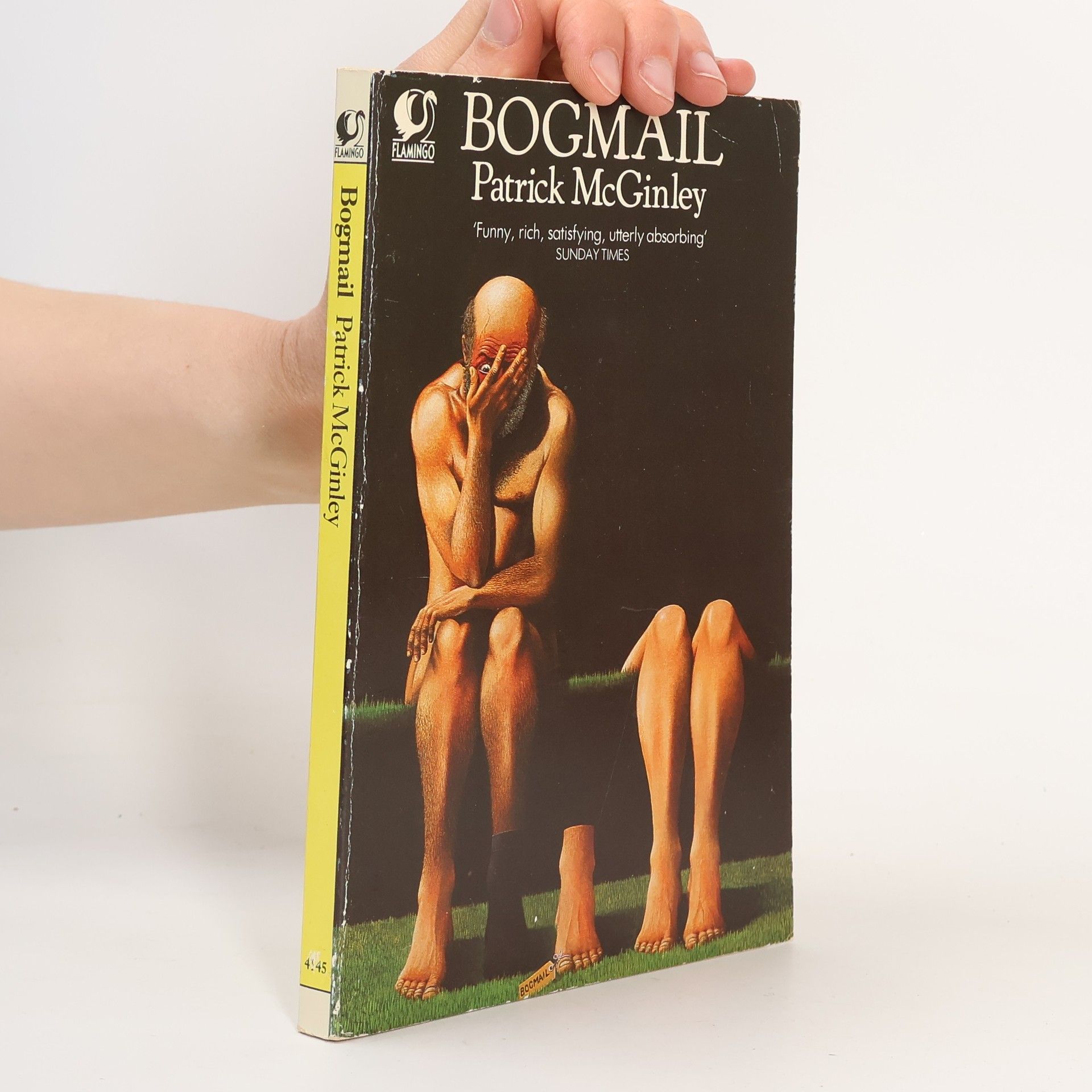 Patrick McGinley Bogmail