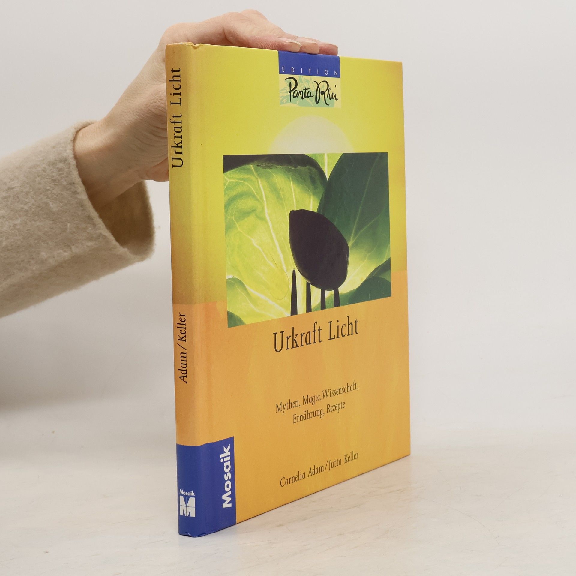 Panta Rhei: Urkraft Licht