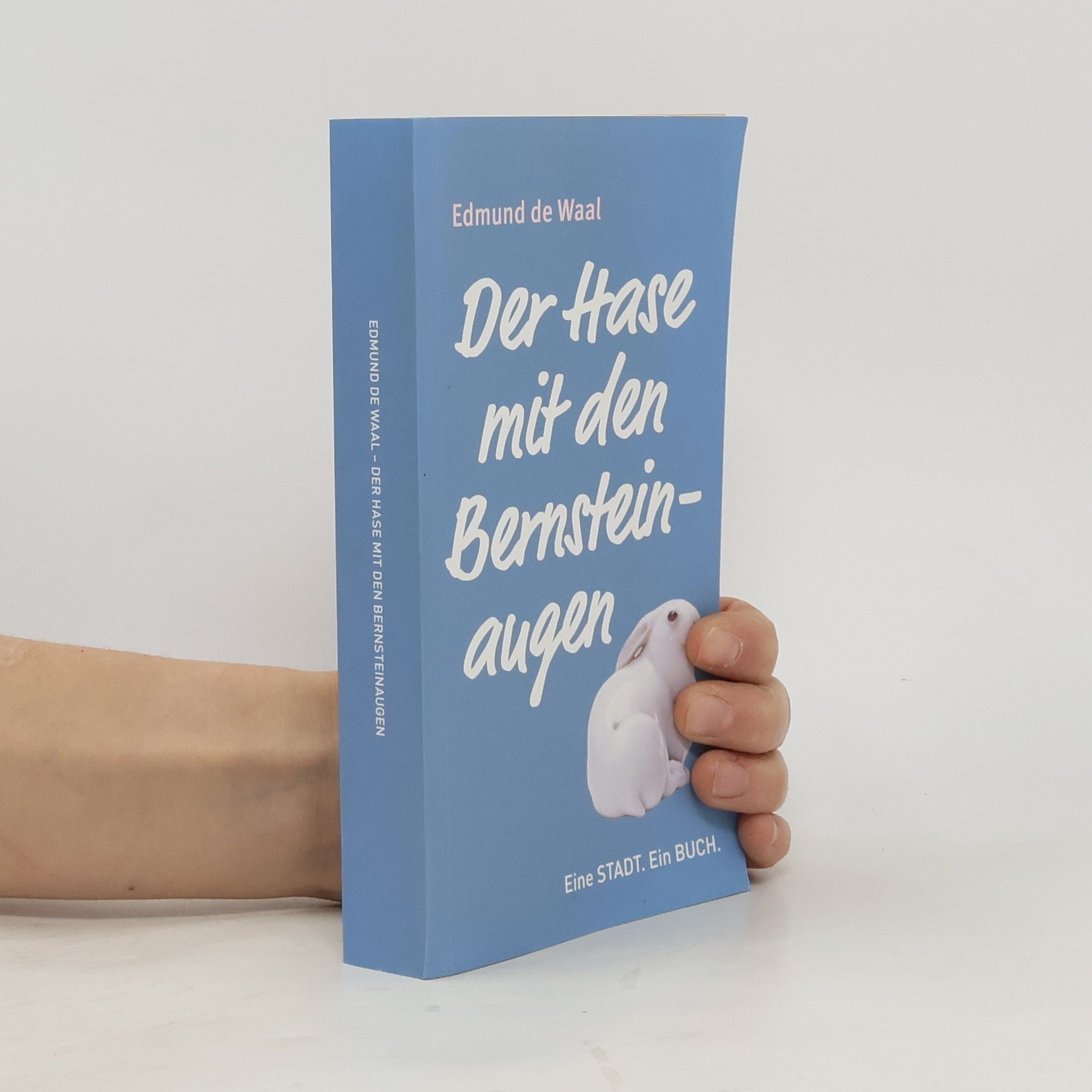 Edmund de Waal Der Hase mit den Bernsteinaugen