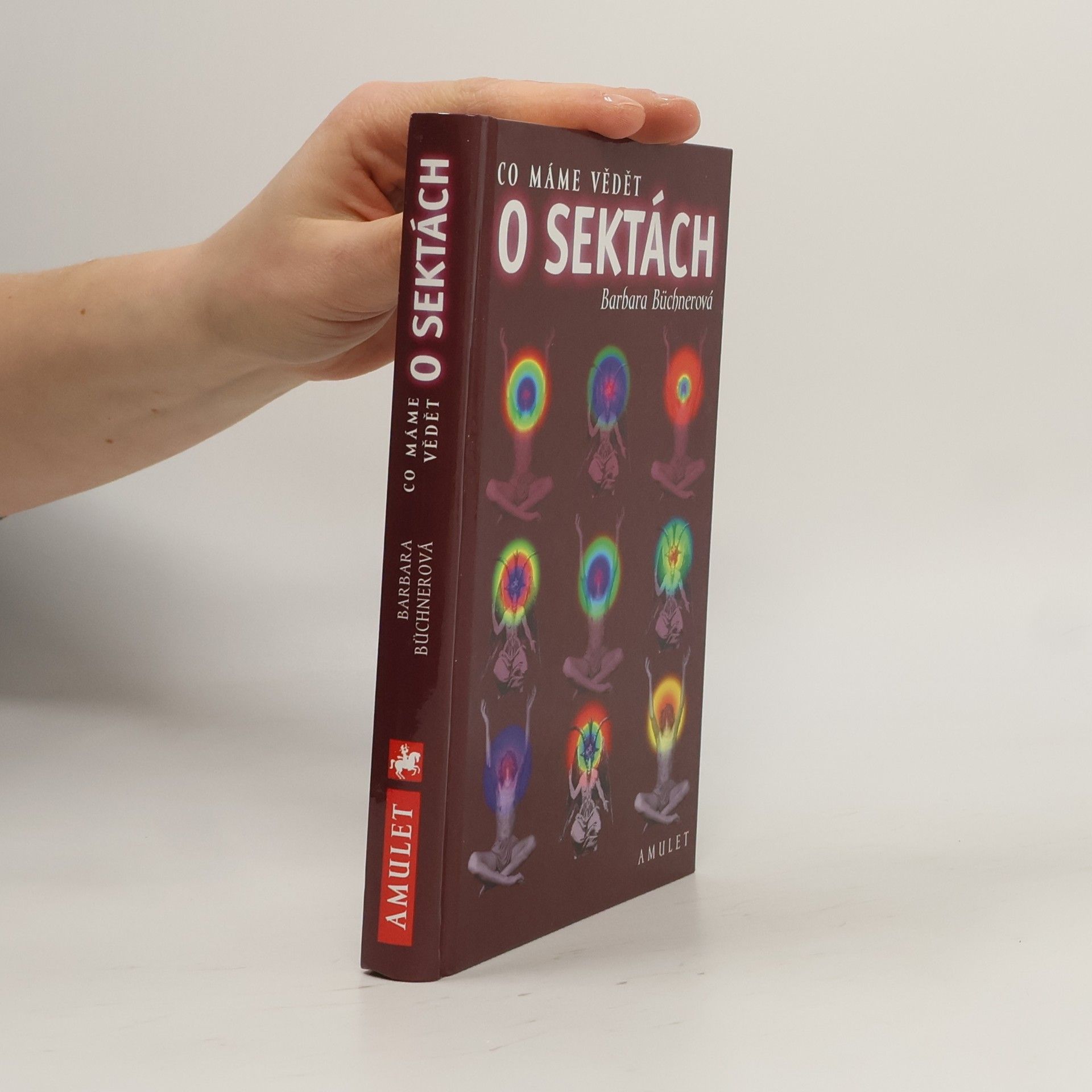 Barbara Büchner Co máme vědět o sektách