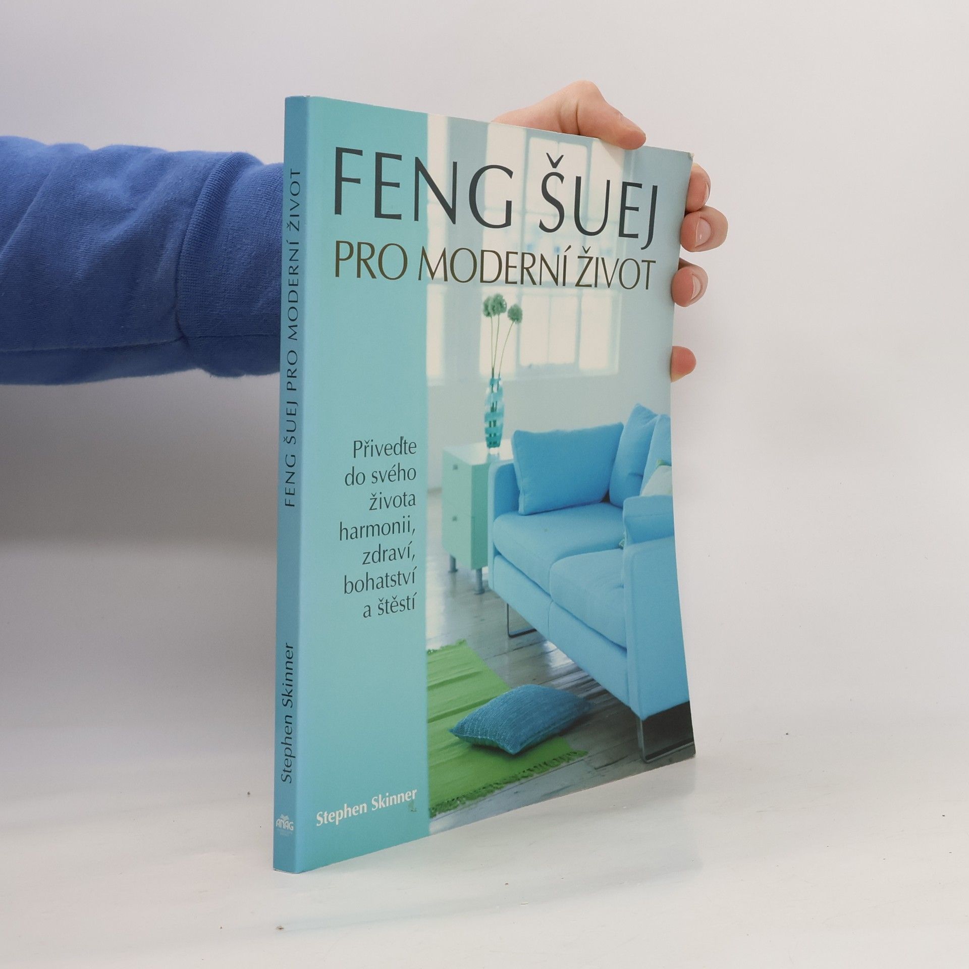Stephen Skinner Feng šuej pro moderní život