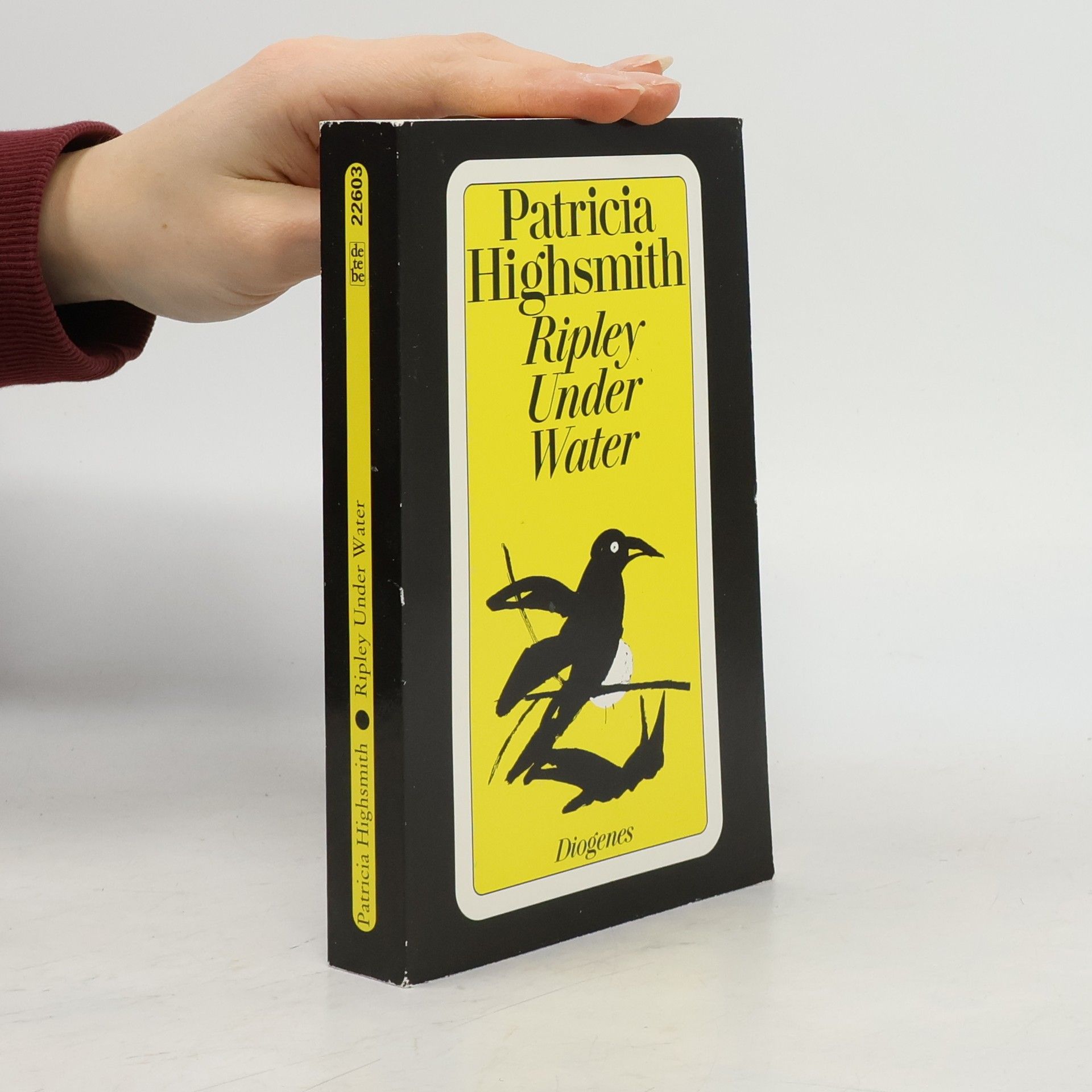 Patricia Highsmith Ripley Under Water