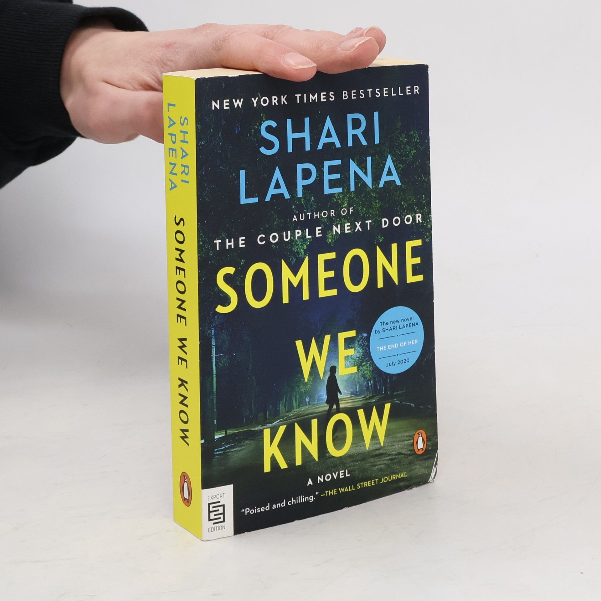 Shari Lapena Someone We Know