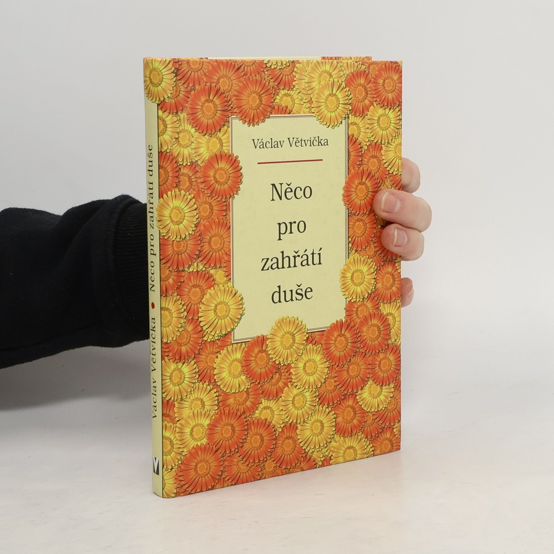 Václav Větvička Něco pro zahřátí duše