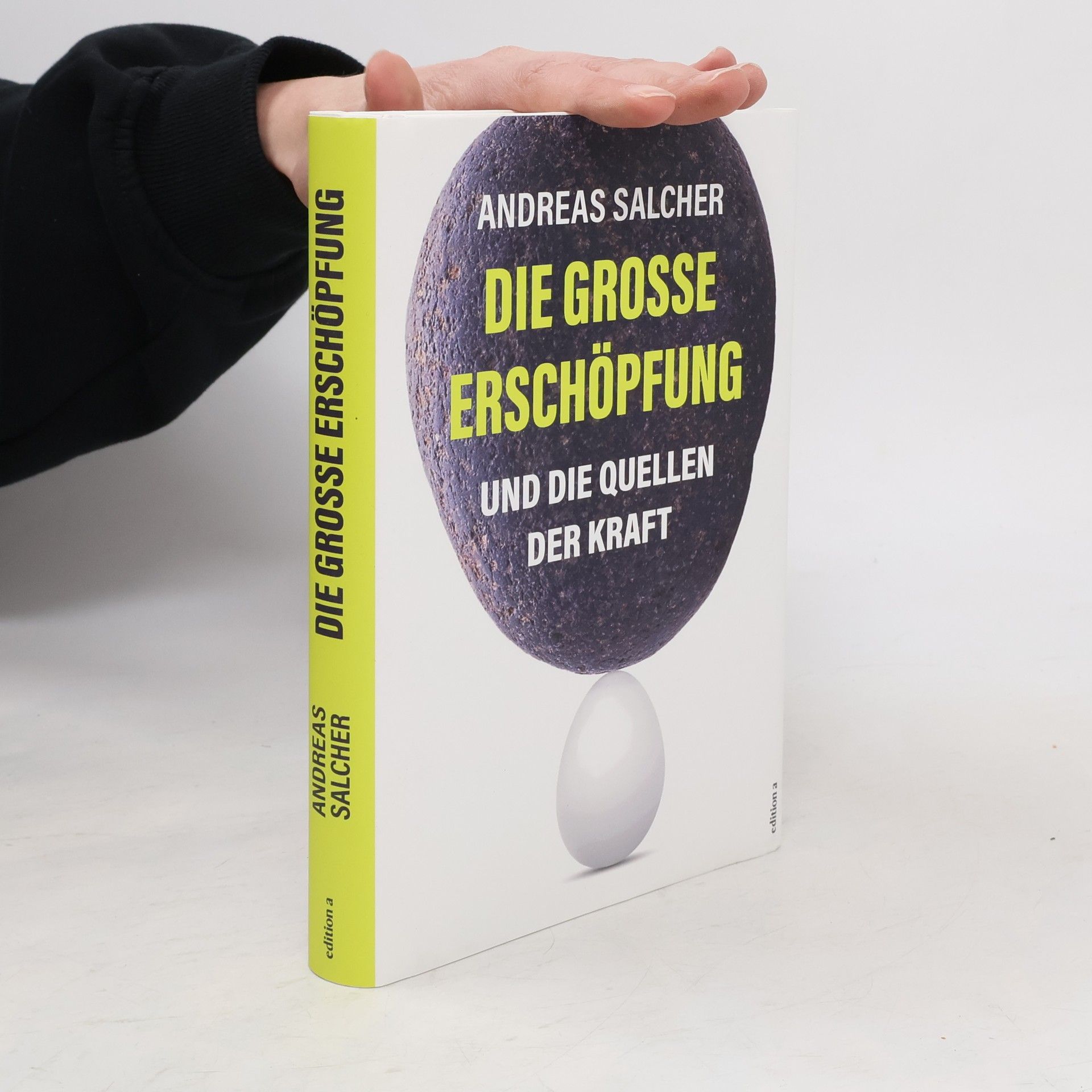 Andreas Salcher Die grosse Erschöpfung und die Quellen der Kraft