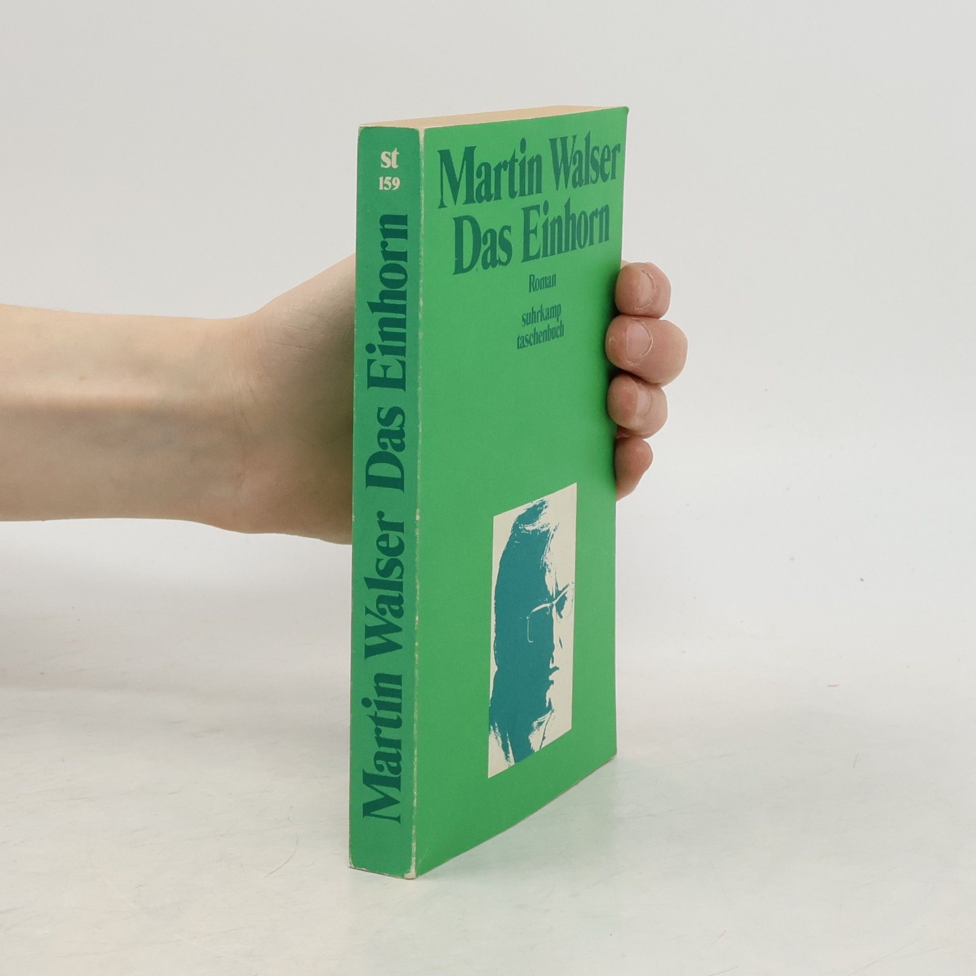 Martin Walser Das Einhorn