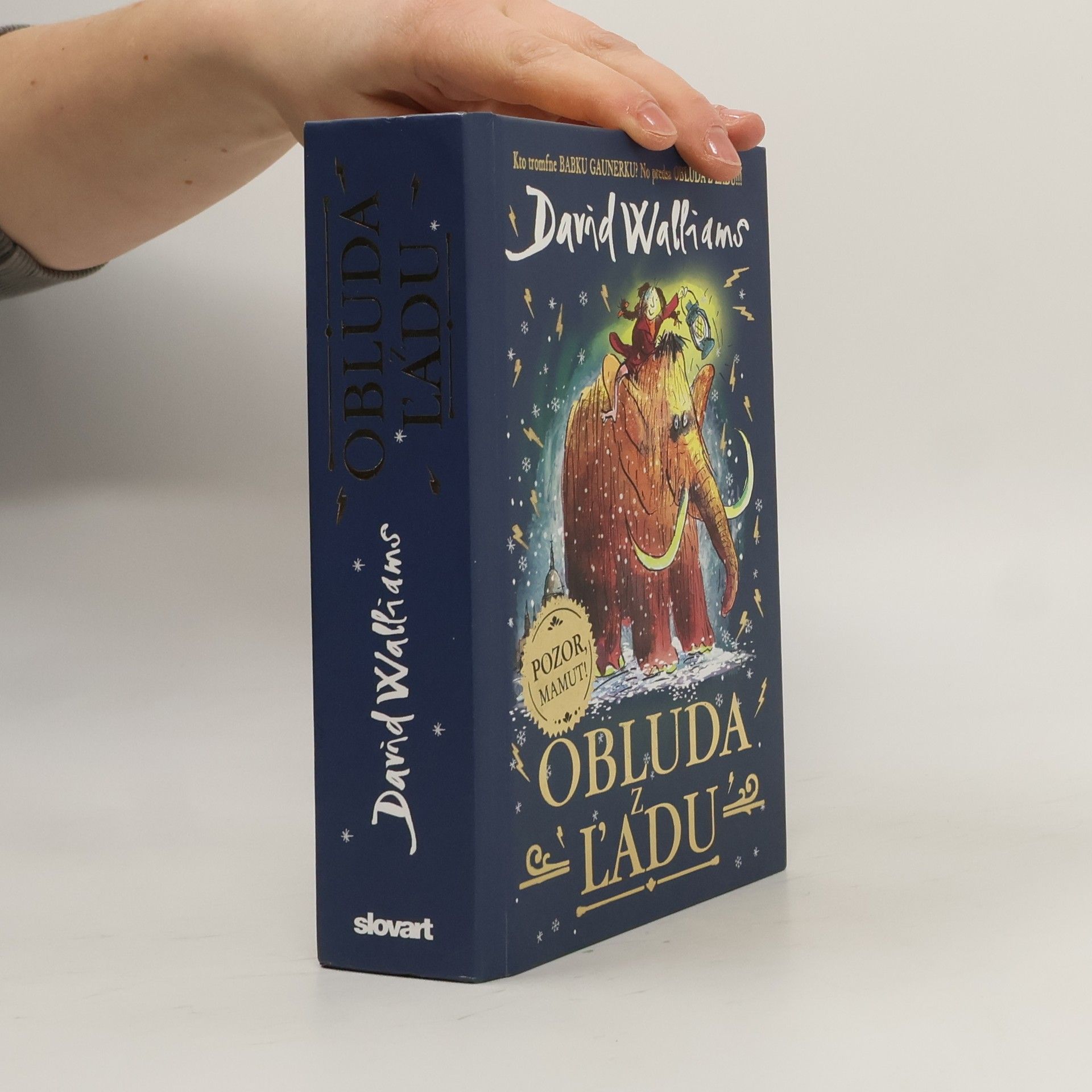 David Walliams Obluda z ľadu