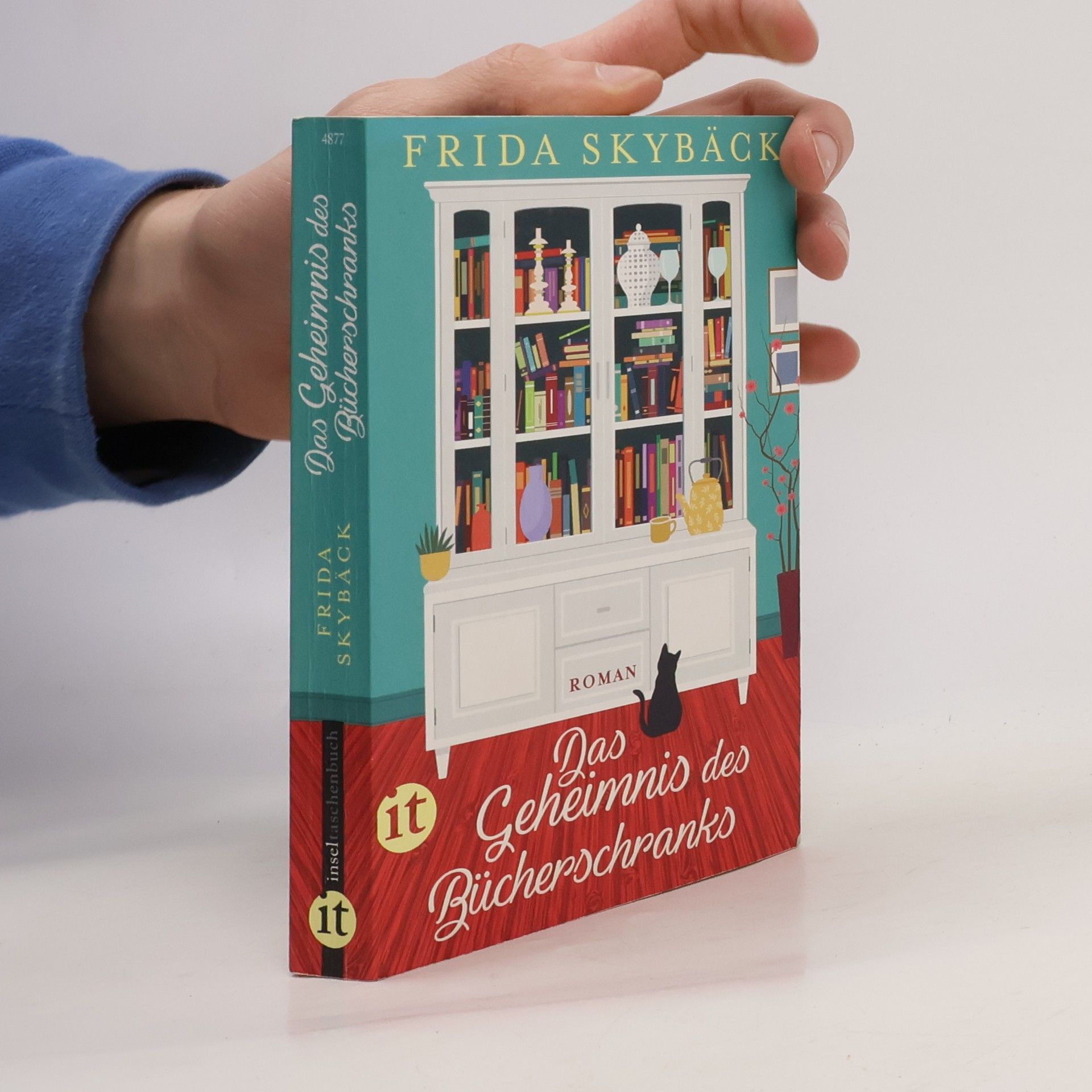 Frida Skybäck Das Geheimnis des Bücherschranks