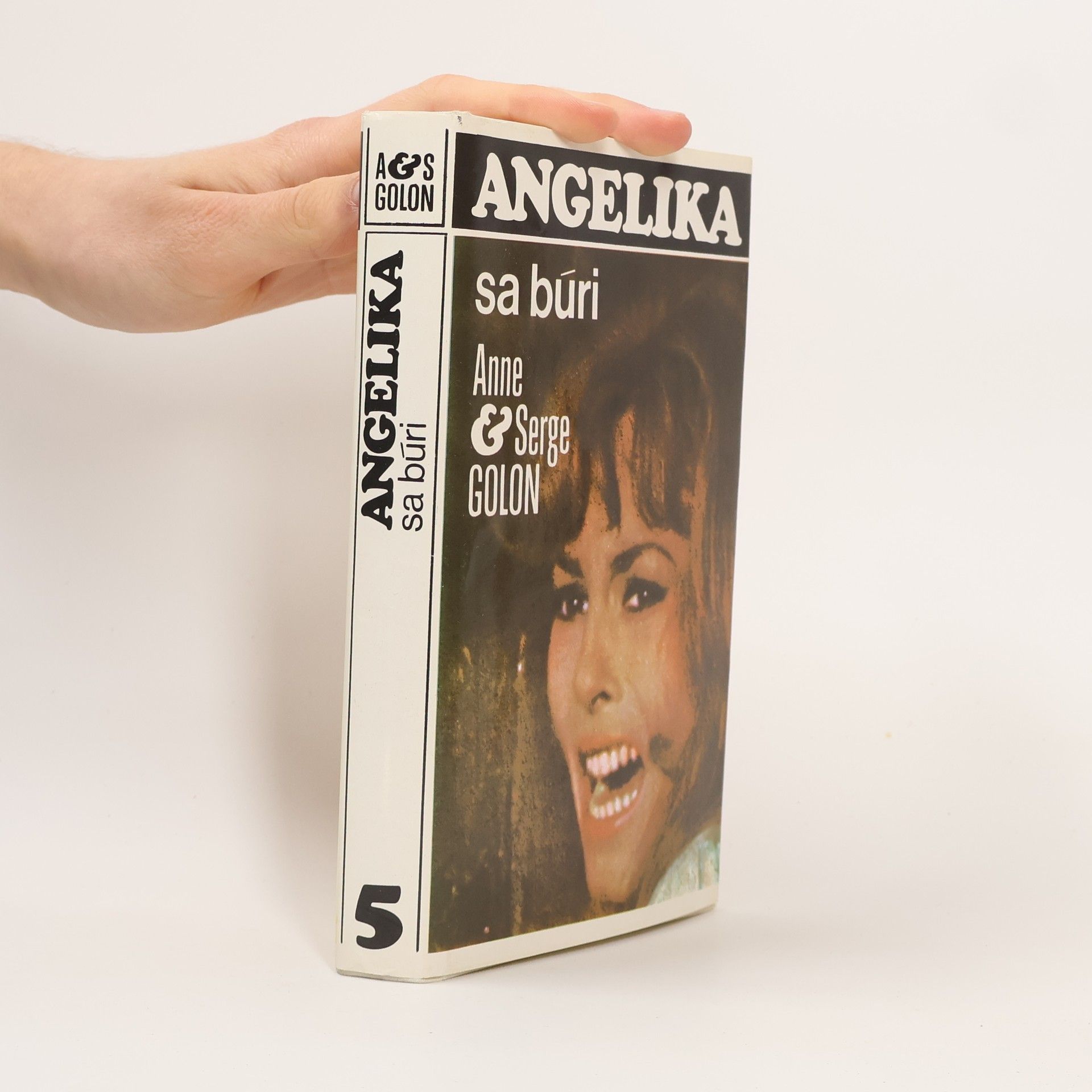 Anne Golon Angelika se búri