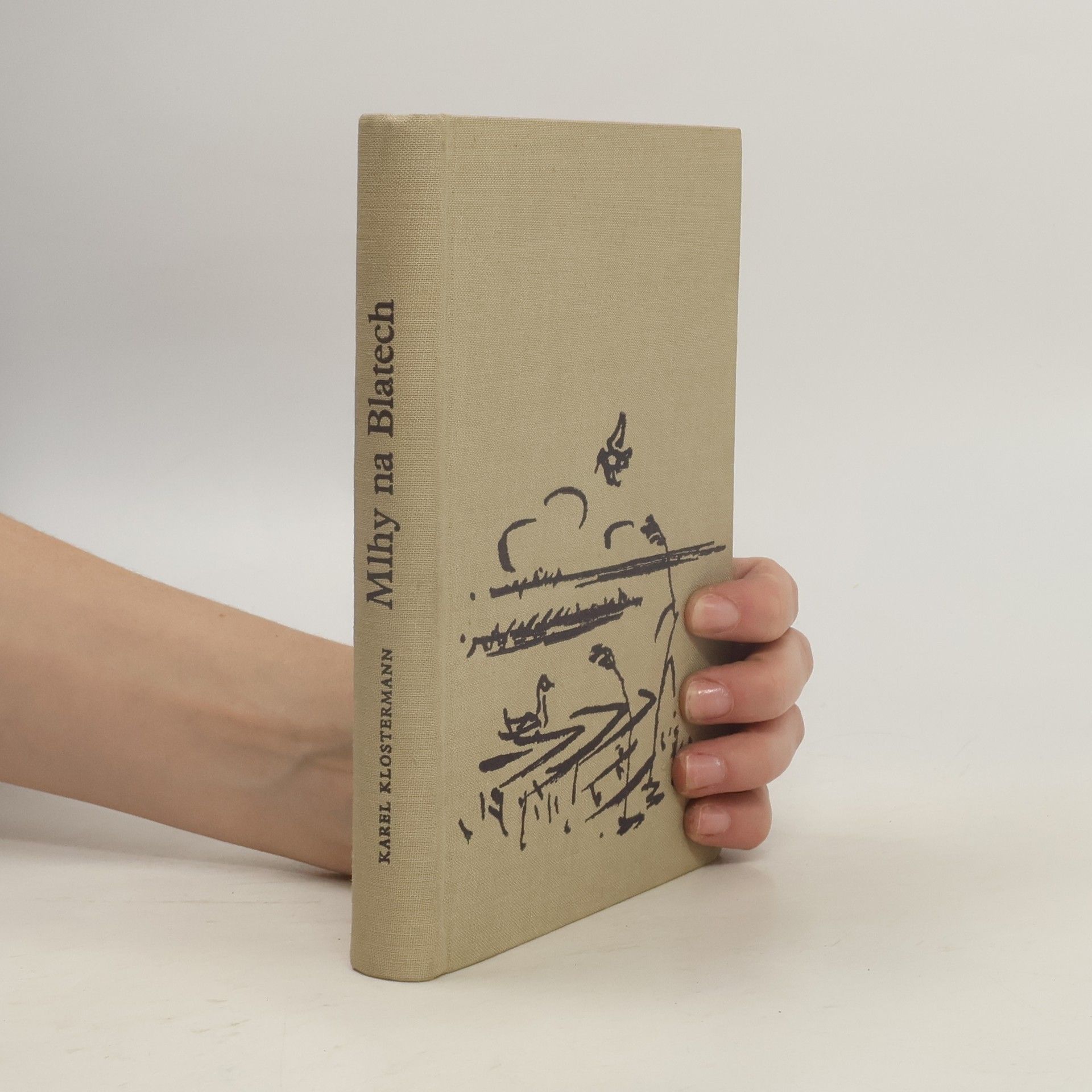 Karel Klostermann Mlhy na Blatech