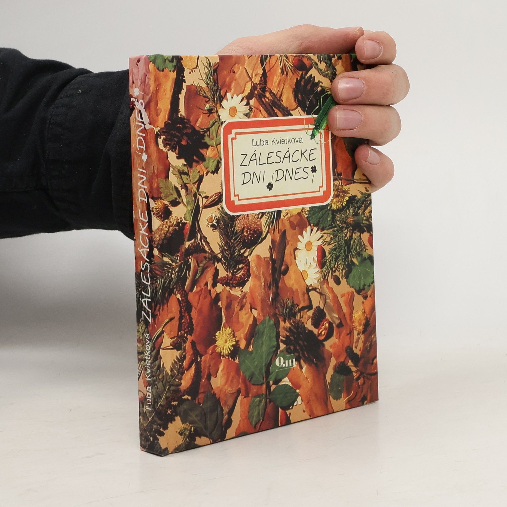 Ľuba Kvietková Zálesacke dni (dnes)