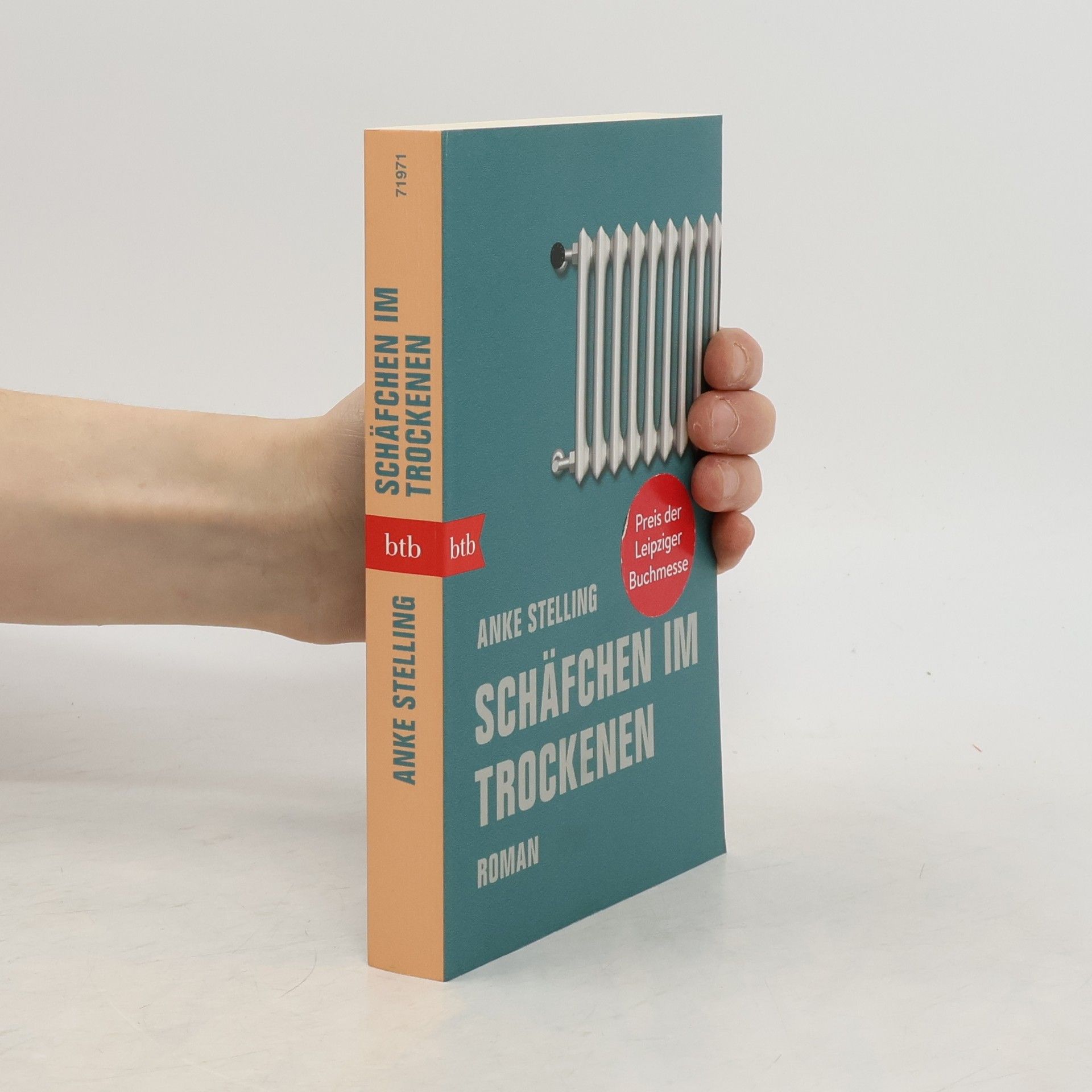 Anke Stelling Schäfchen im Trockenen