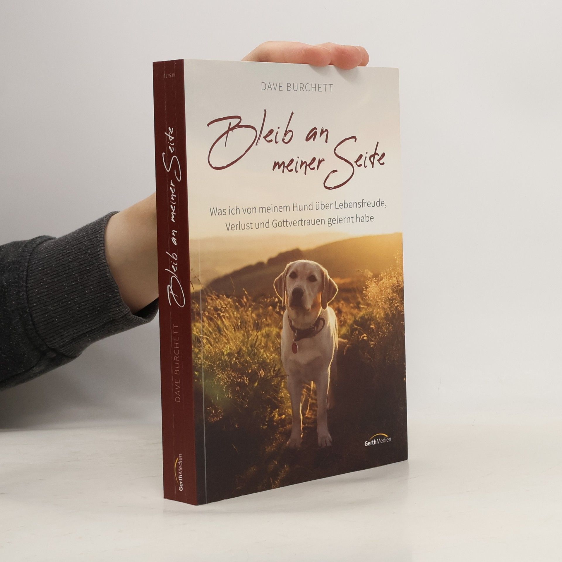 Dave Burchett Bleib an meiner Seite