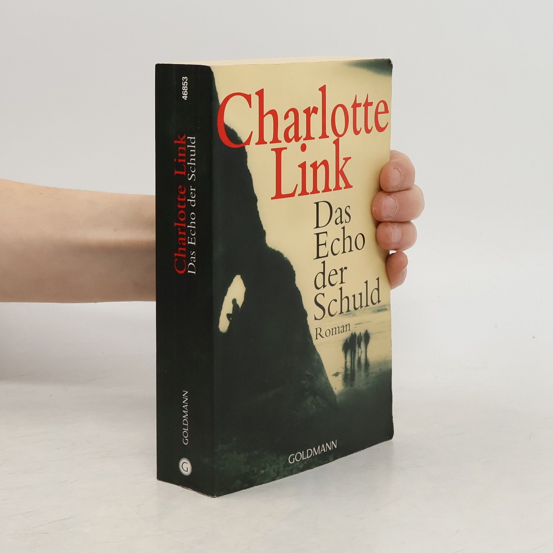 Charlotte Link Das Echo der Schuld