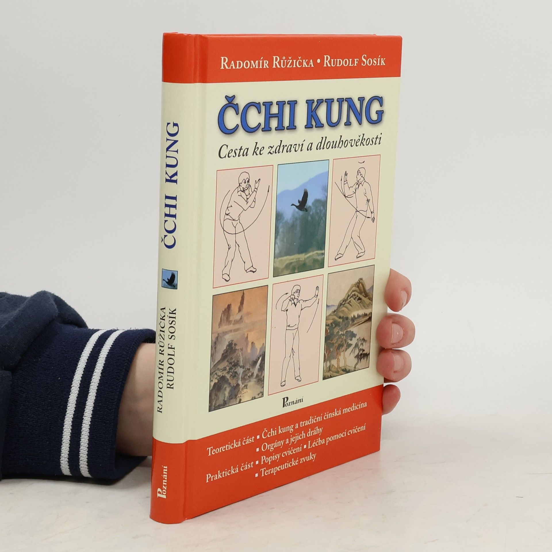 Radomír Růžička Čchi kung. Cesta ke zdraví a dlouhověkosti