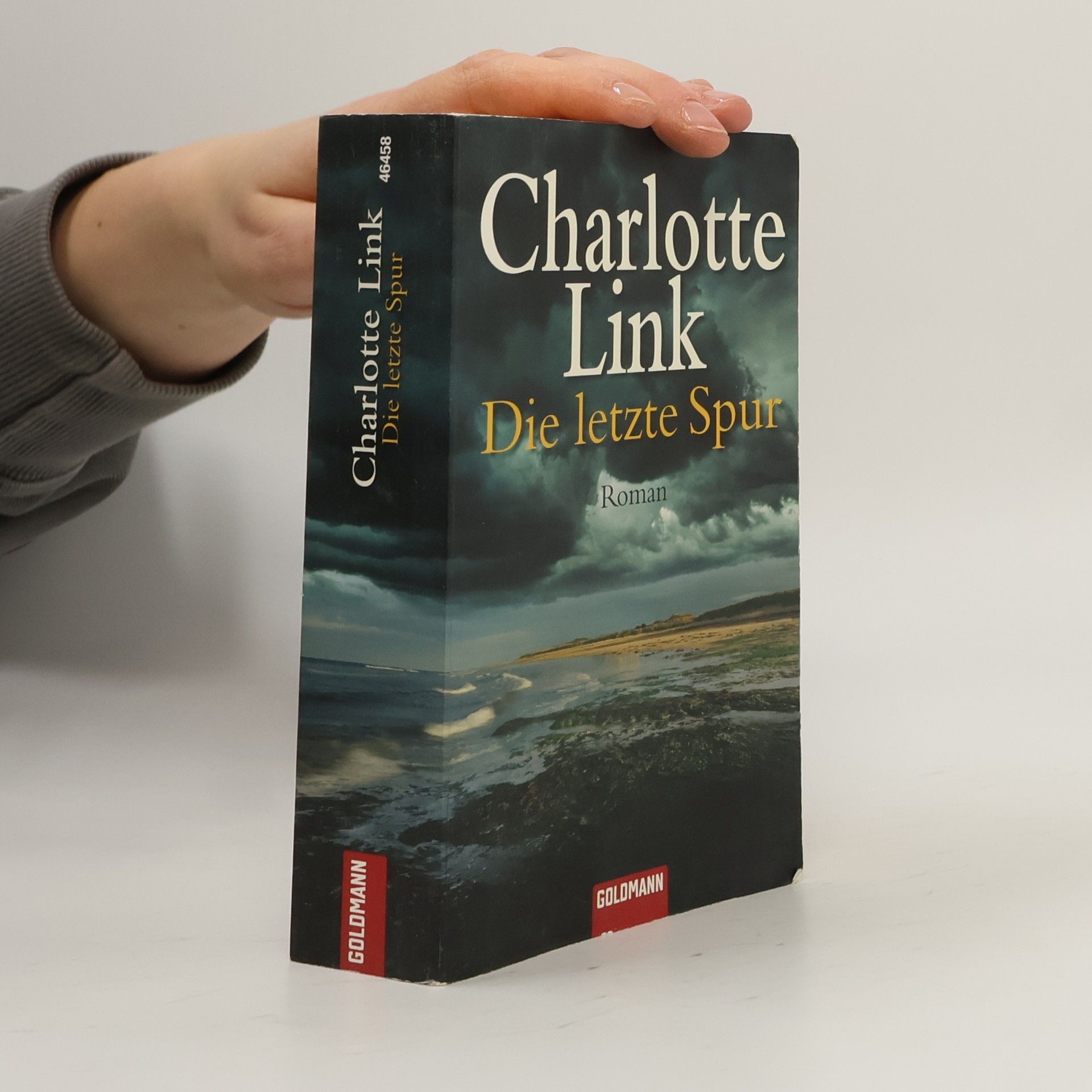 Charlotte Link Die letzte Spur