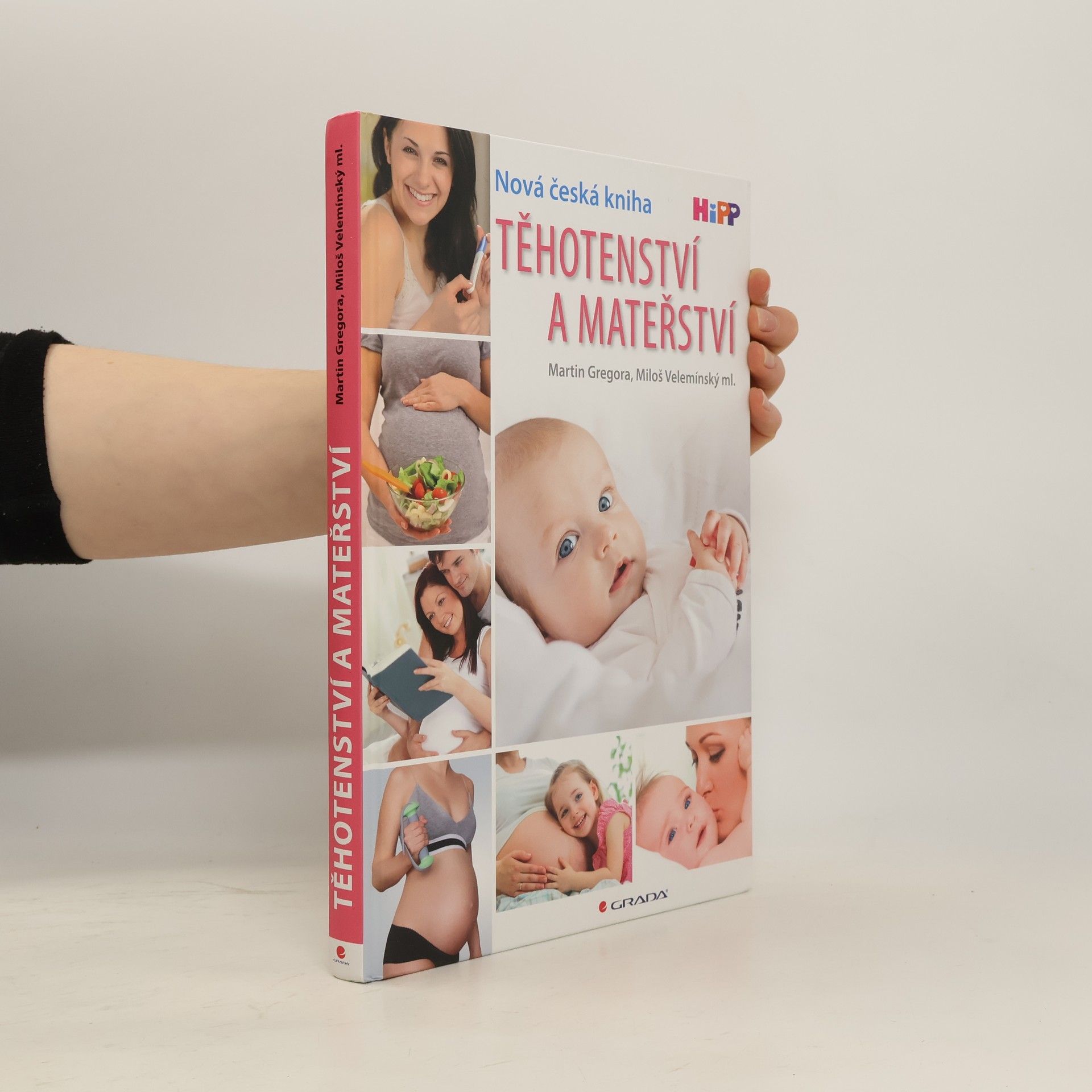 Martin Gregor-Dellin Těhotenství a mateřství