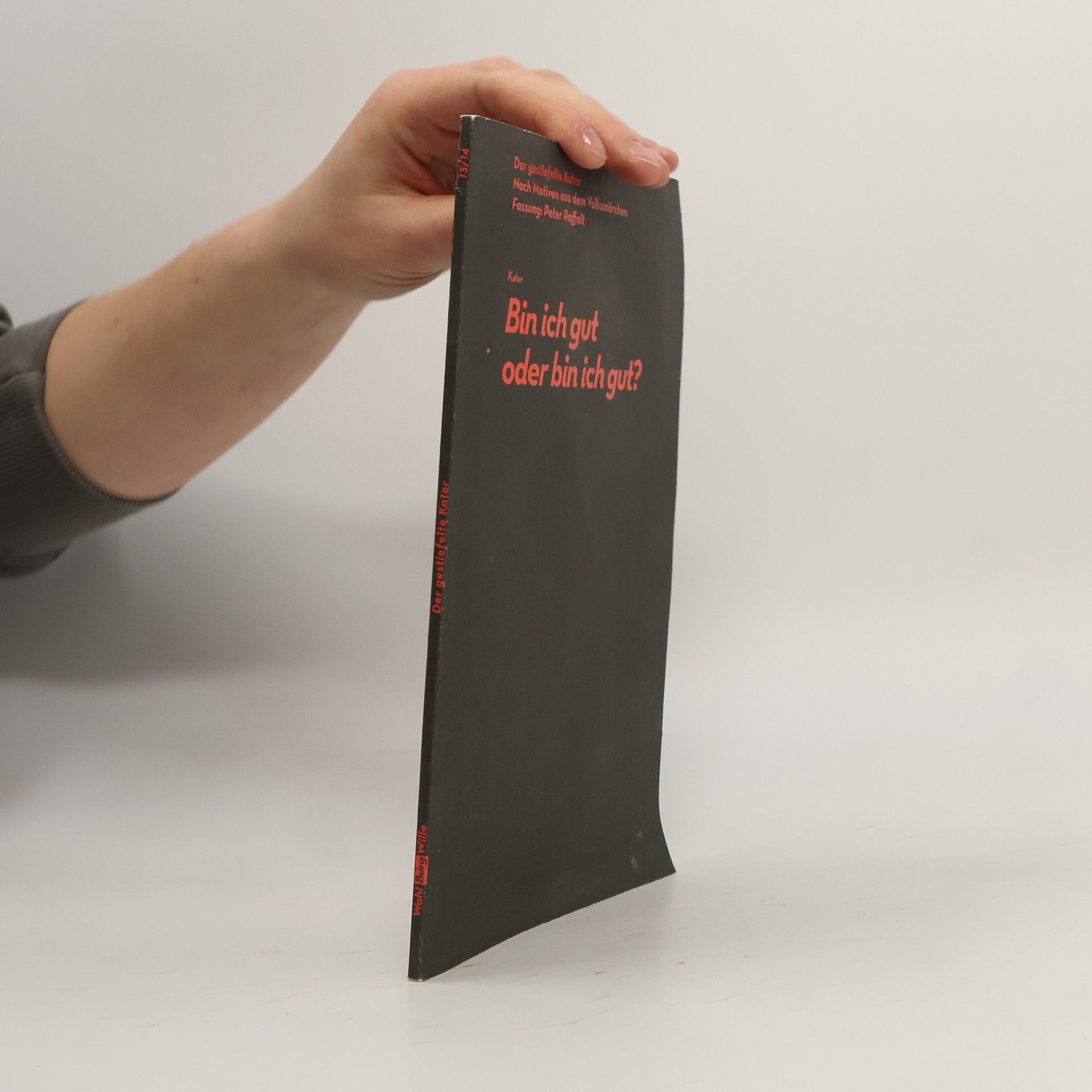 Autorenkollektiv Bin ich gut oder bin ich gut?