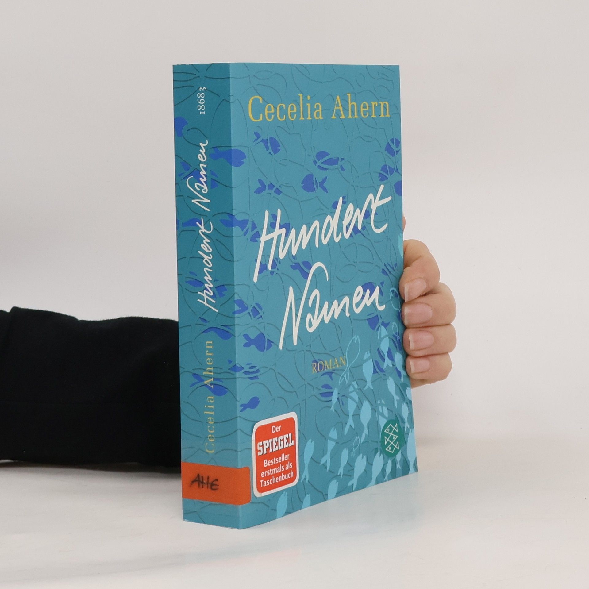 Cecelia Ahern Hundert Namen