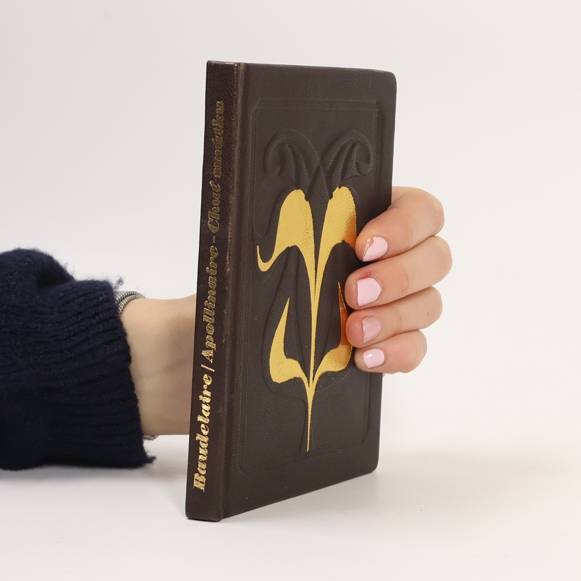 Charles Baudelaire Chuť smútku