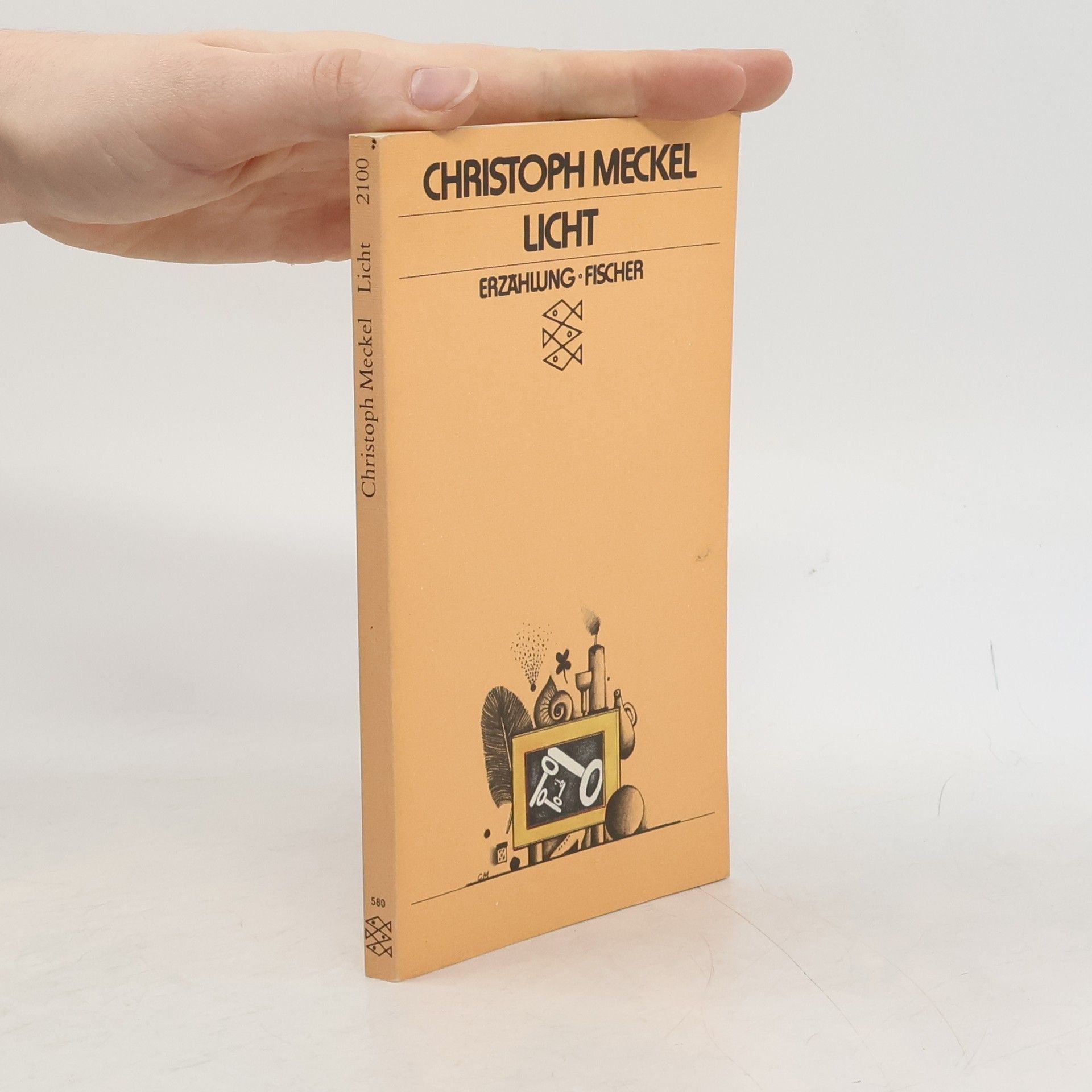 Christoph Meckel Licht