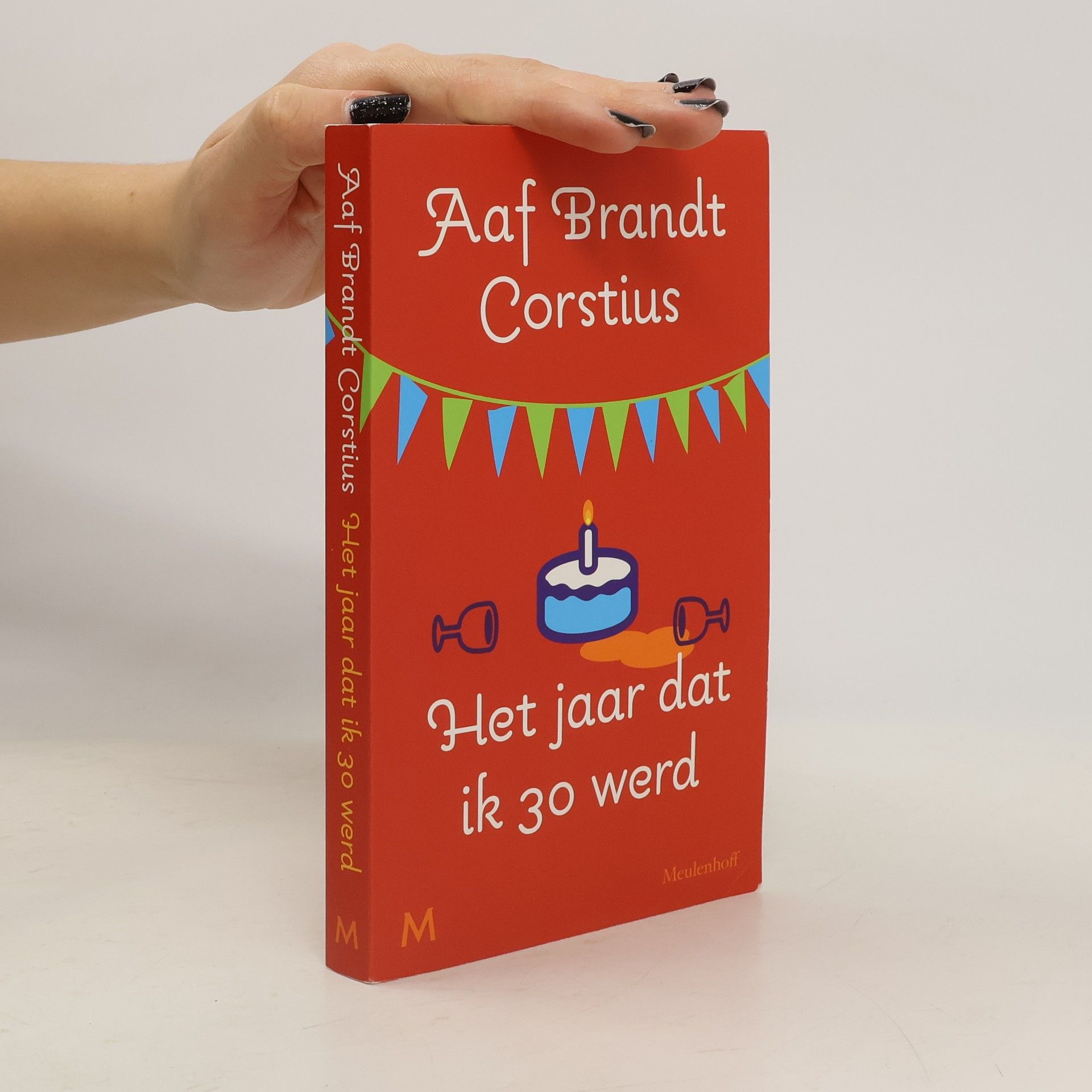 Aaf Brandt Corstius Het jaar dat ik 30 werd / druk 7