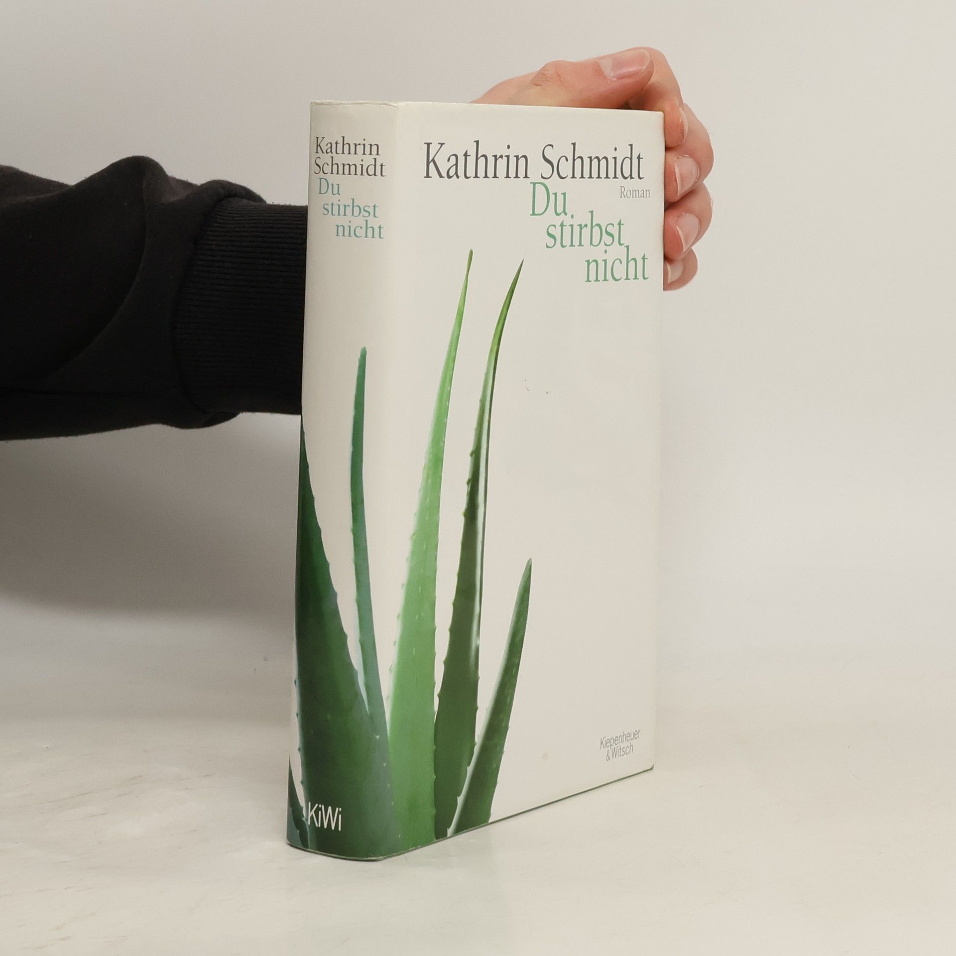 Kathrin Schmidt Du stirbst nicht