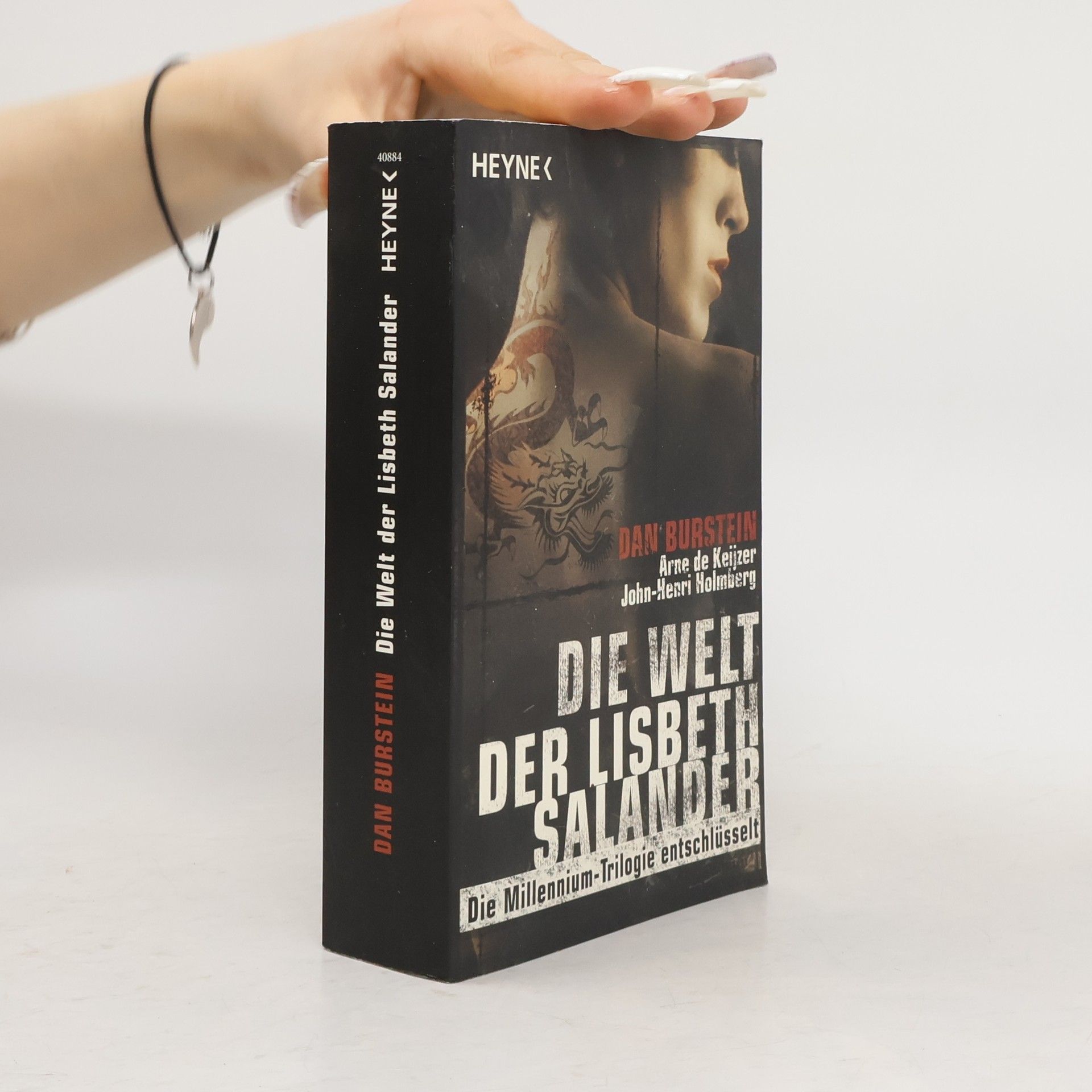 Dan Burstein Die Welt der Lisbeth Salander