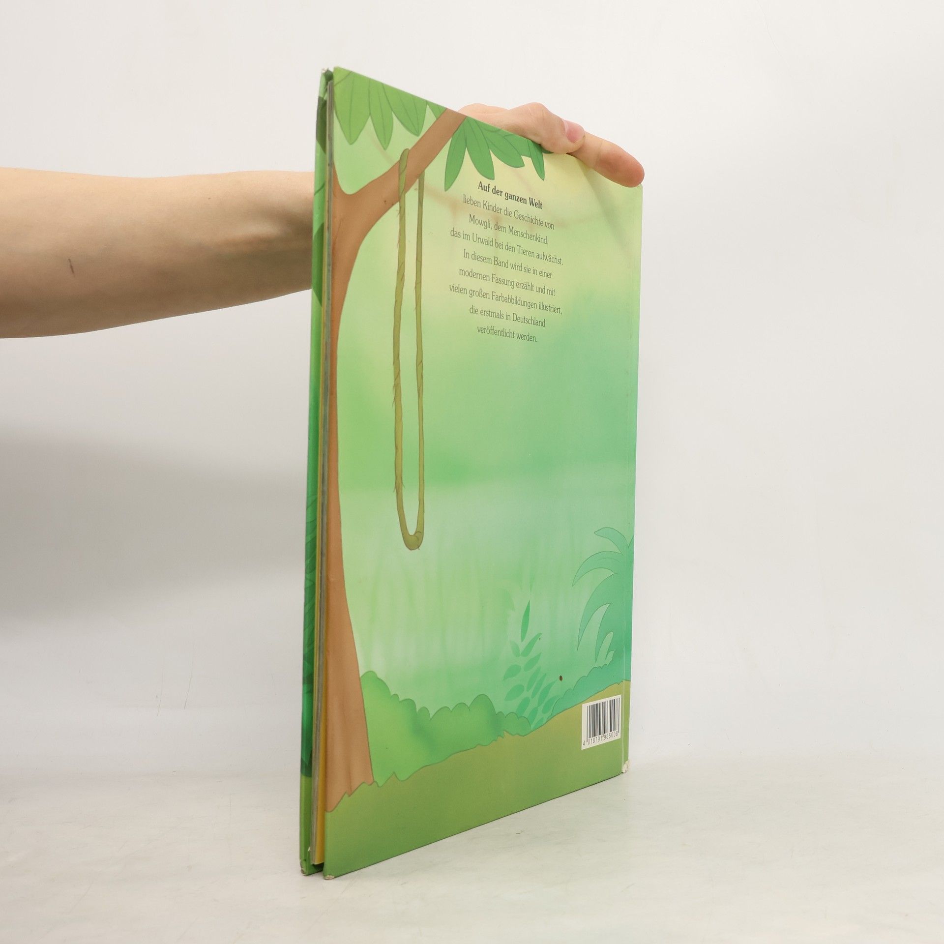 Autorenkollektiv Das Dschungelbuch