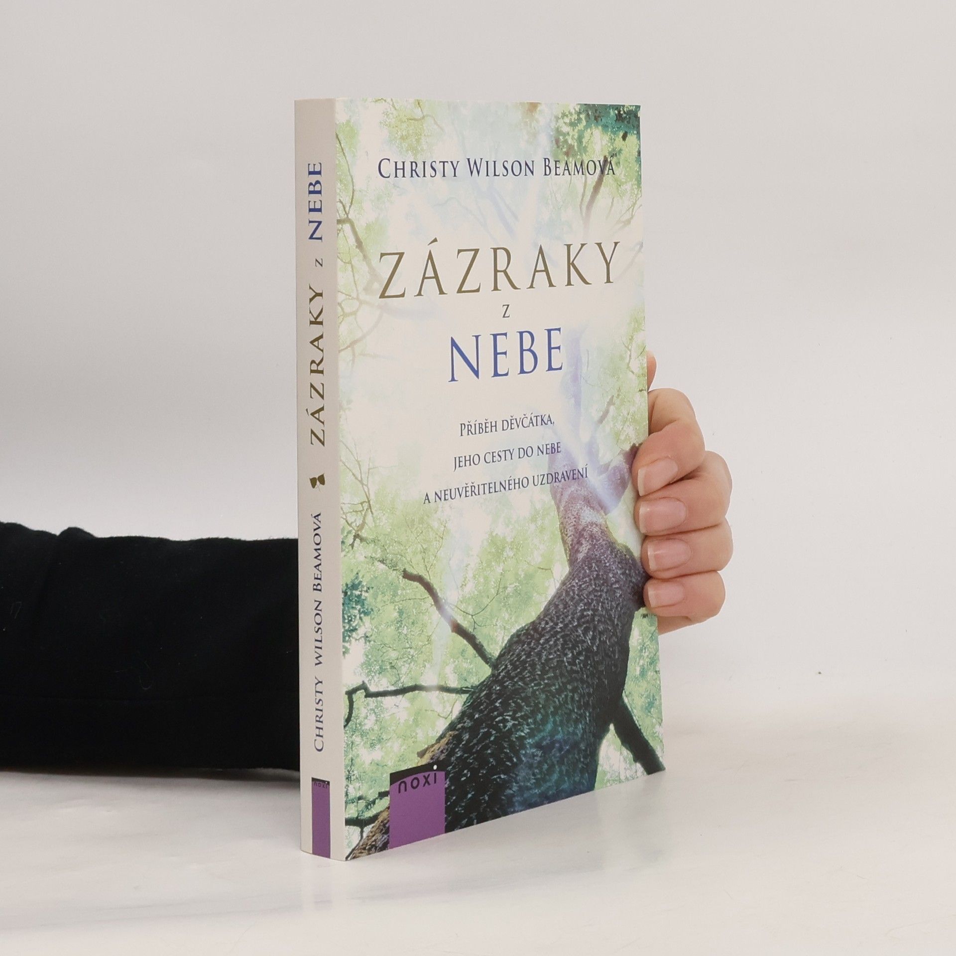 Christy Wilson Beam Zázraky z nebe