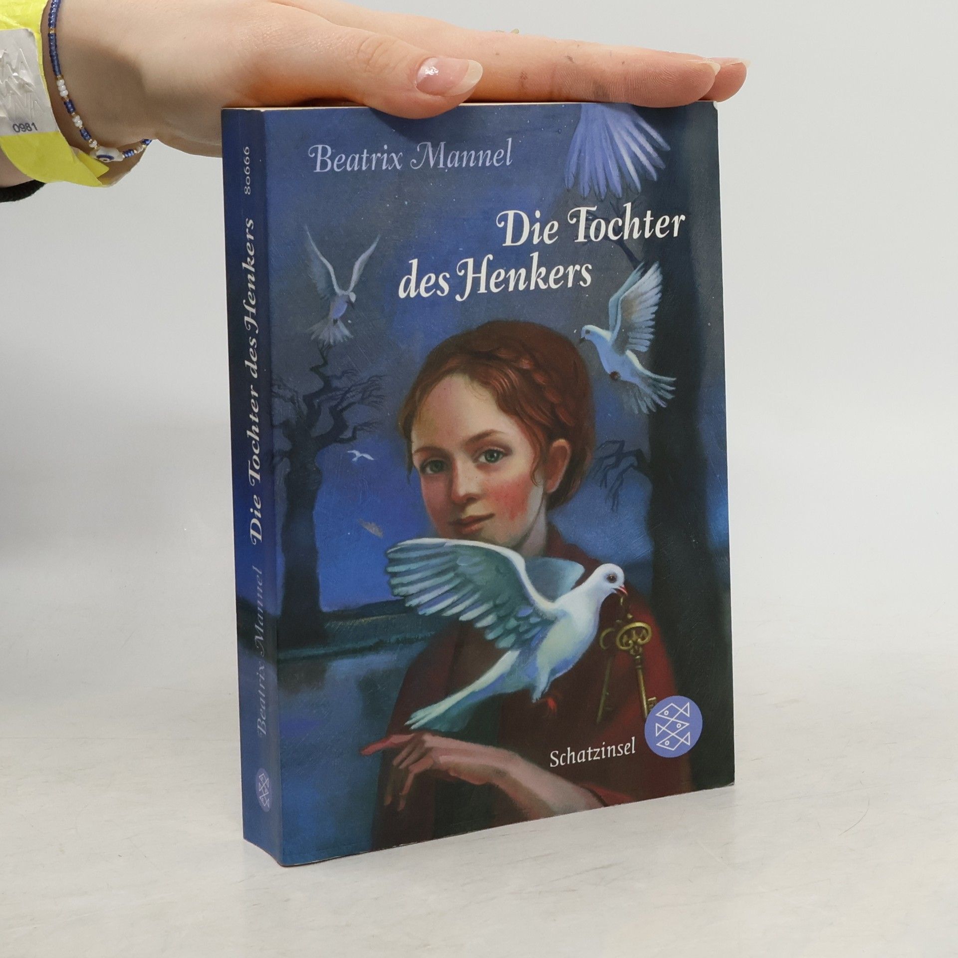 Beatrix Mannel Die Tochter des Henkers