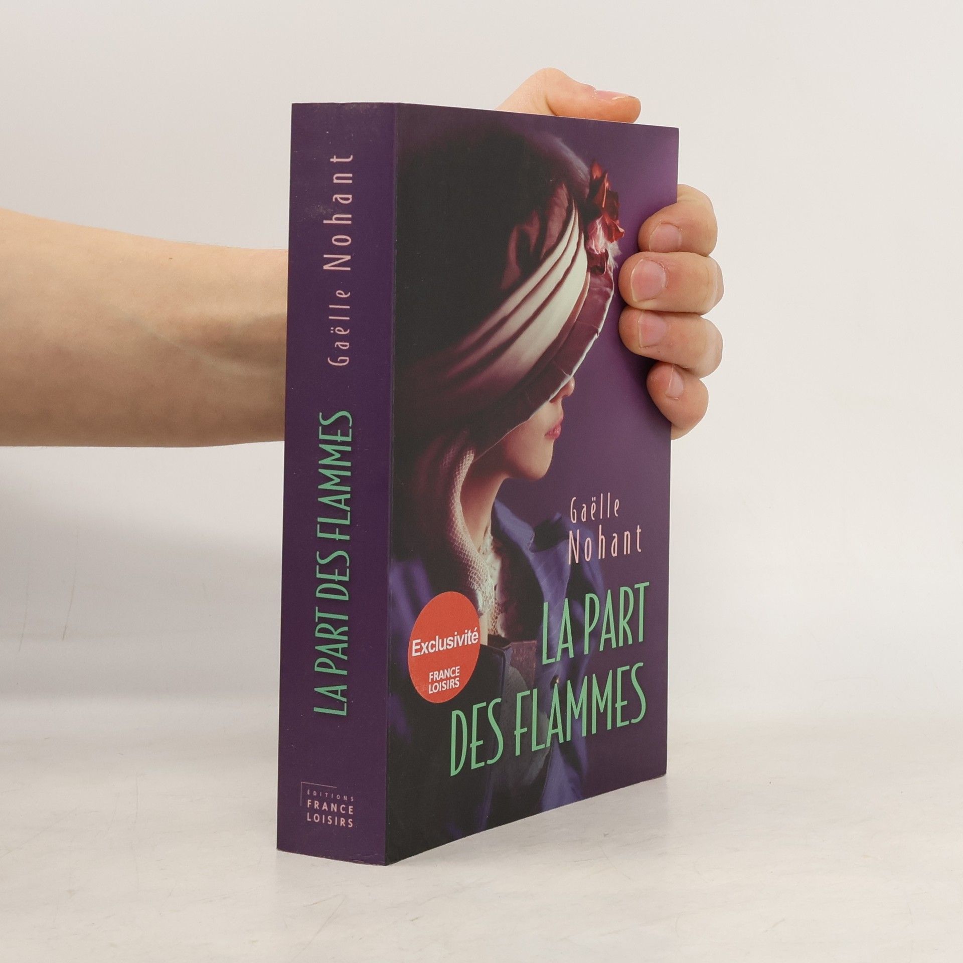 Gaëlle Nohant La part des flammes