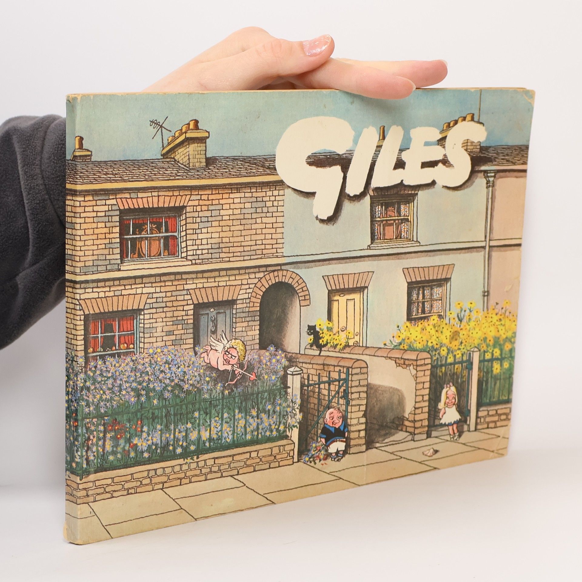 Autorenkollektiv Giles Sunday Express & Daily Express Cartoons