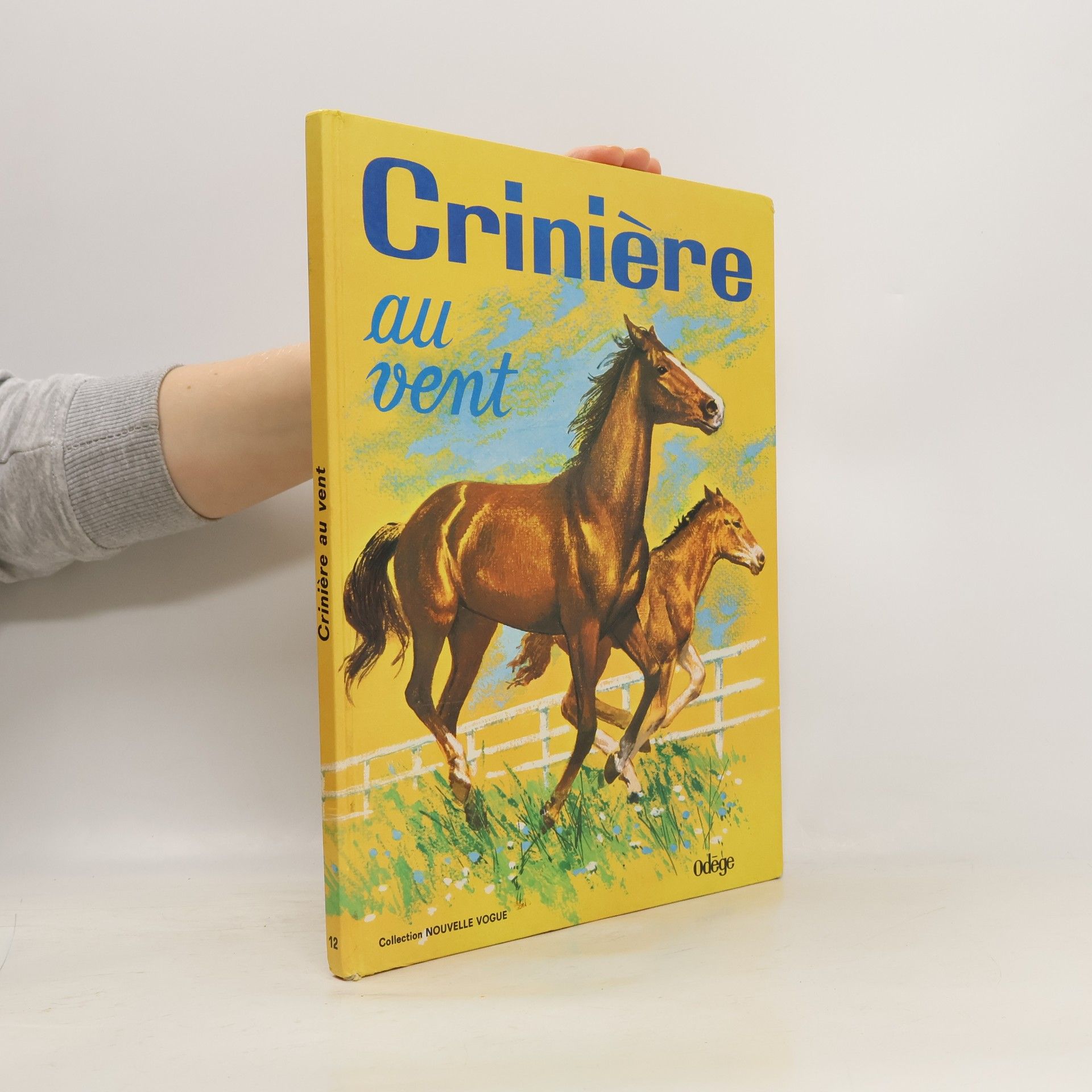 M. Pucci Crinière au vent