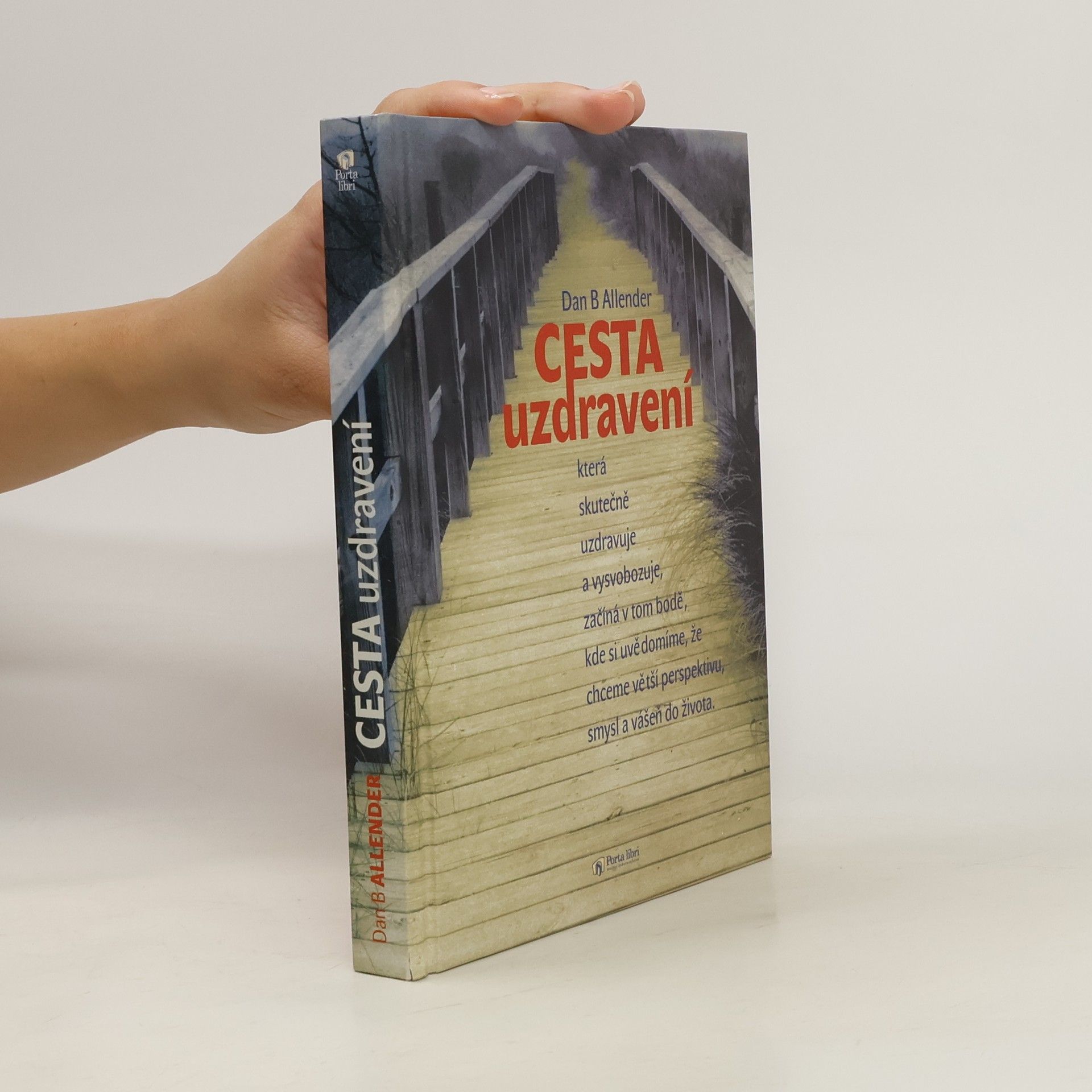Dan Allender Cesta uzdravení