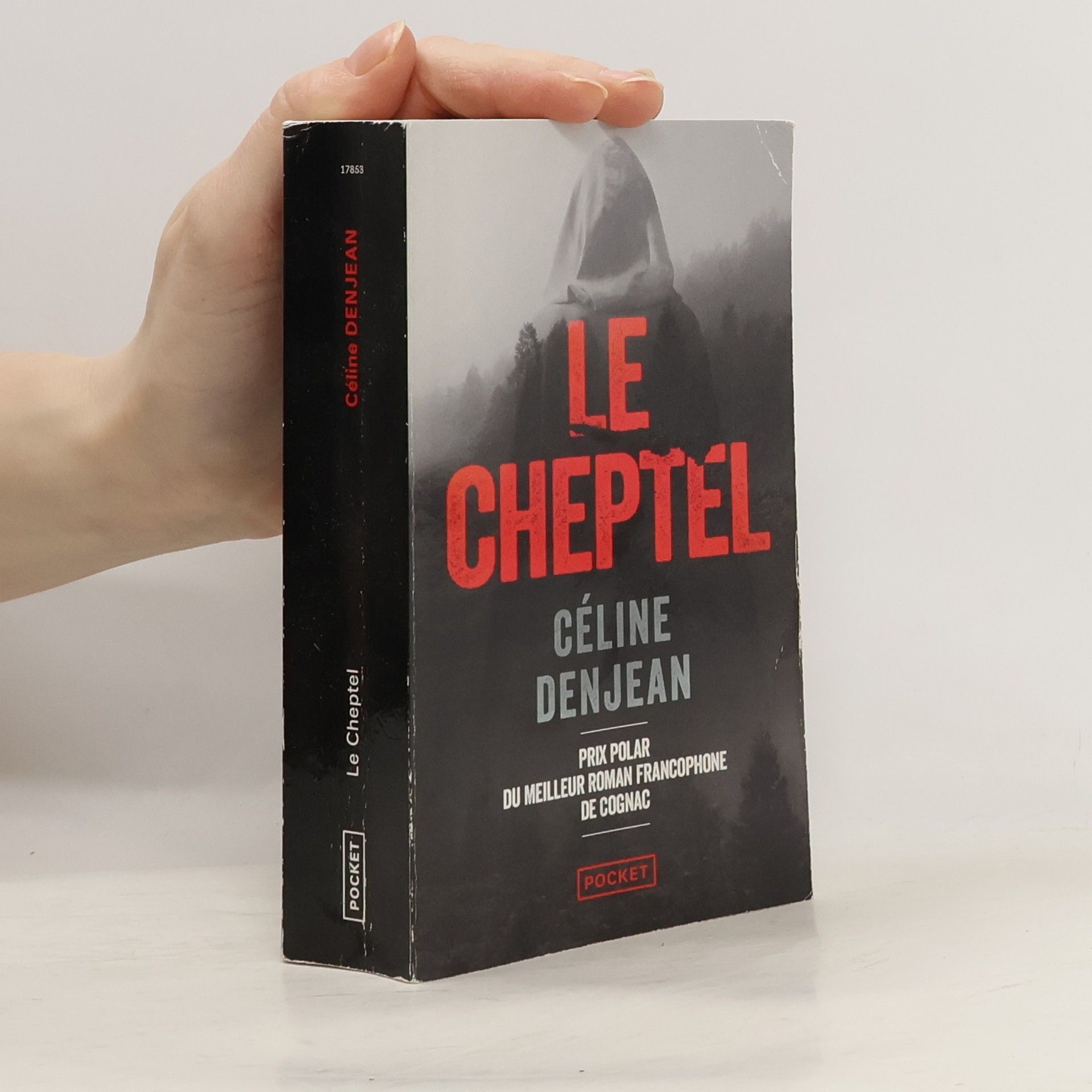 Céline Denjean Le Cheptel