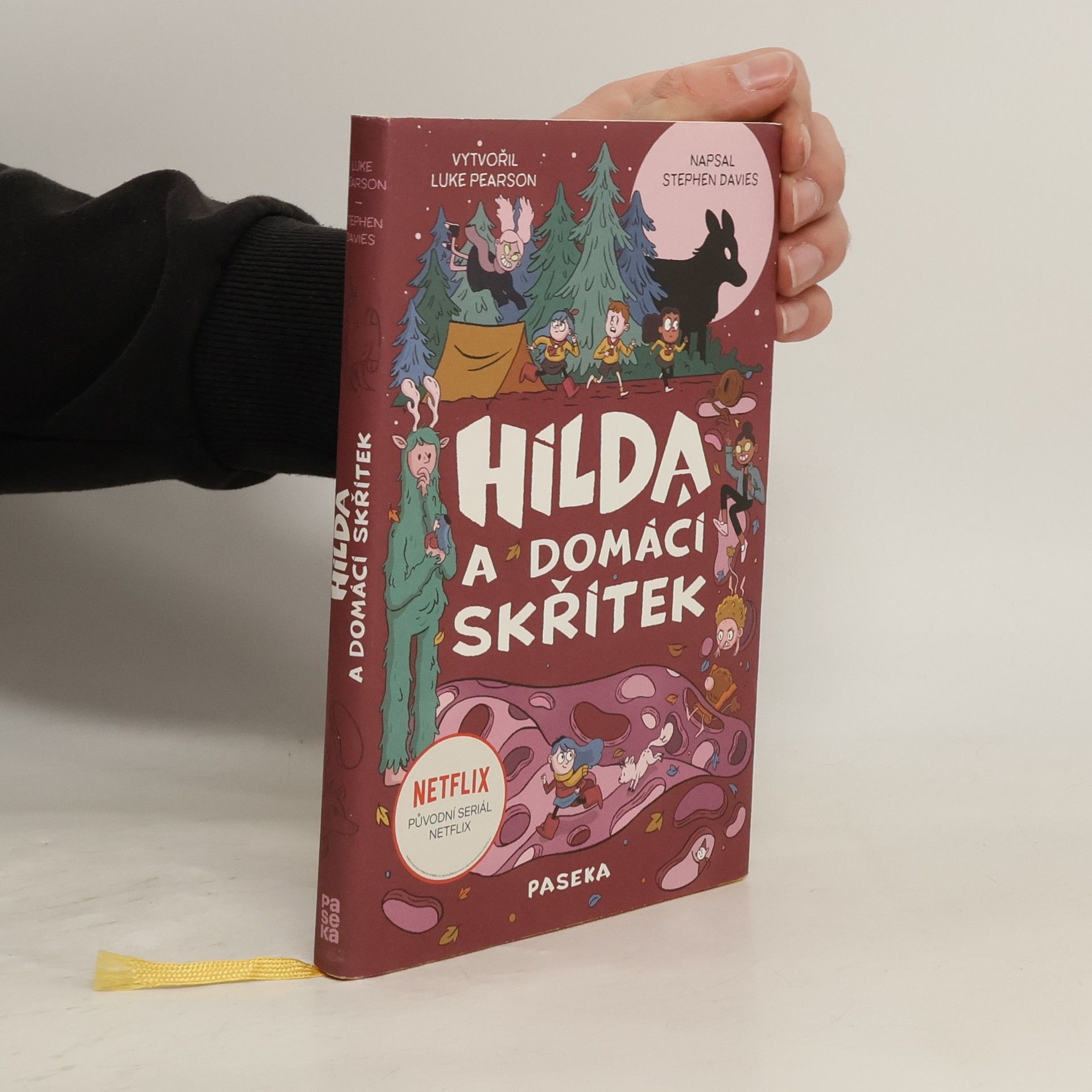 Stephen Davies Hilda a domácí skřítek