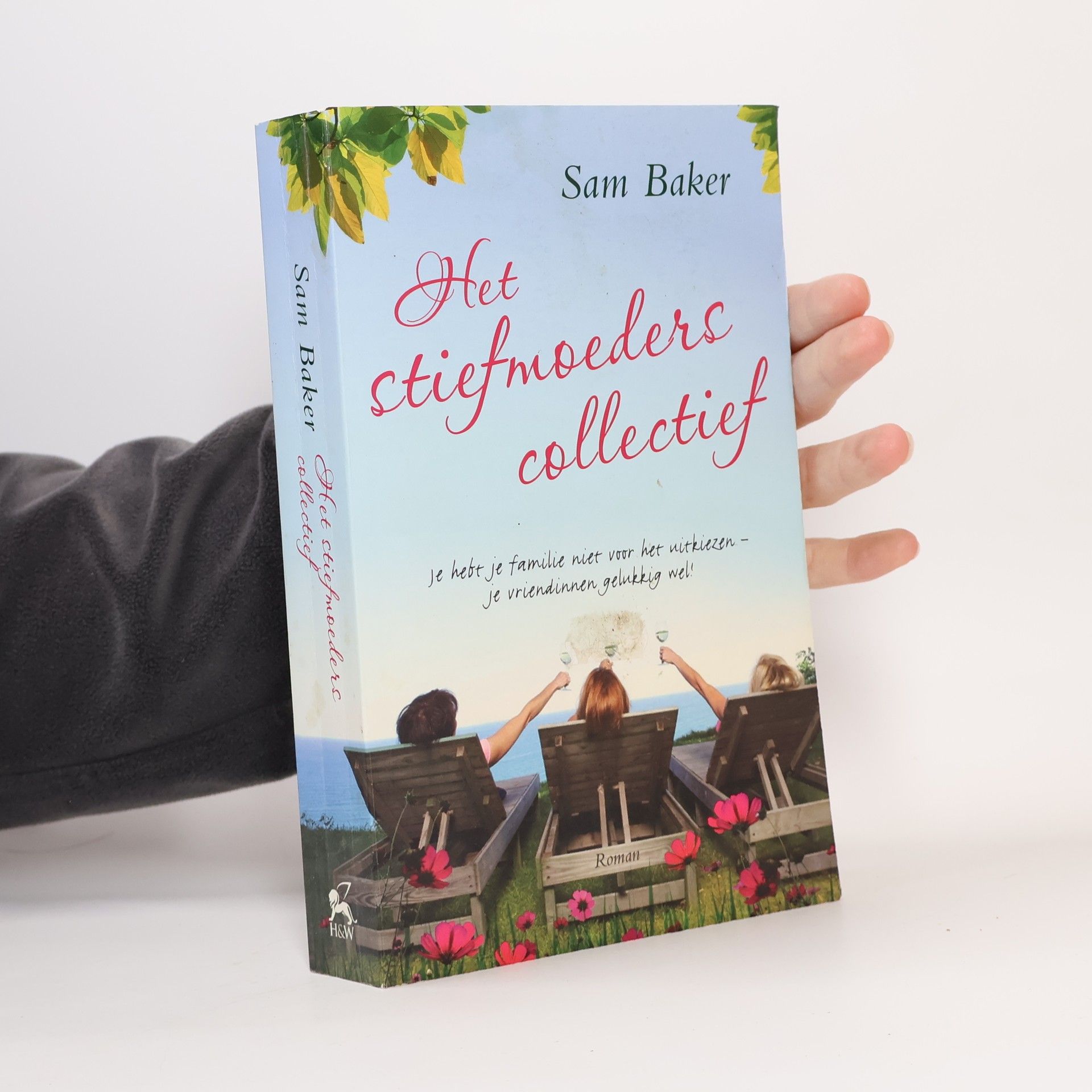 Sam Baker Het stiefmoederscollectief
