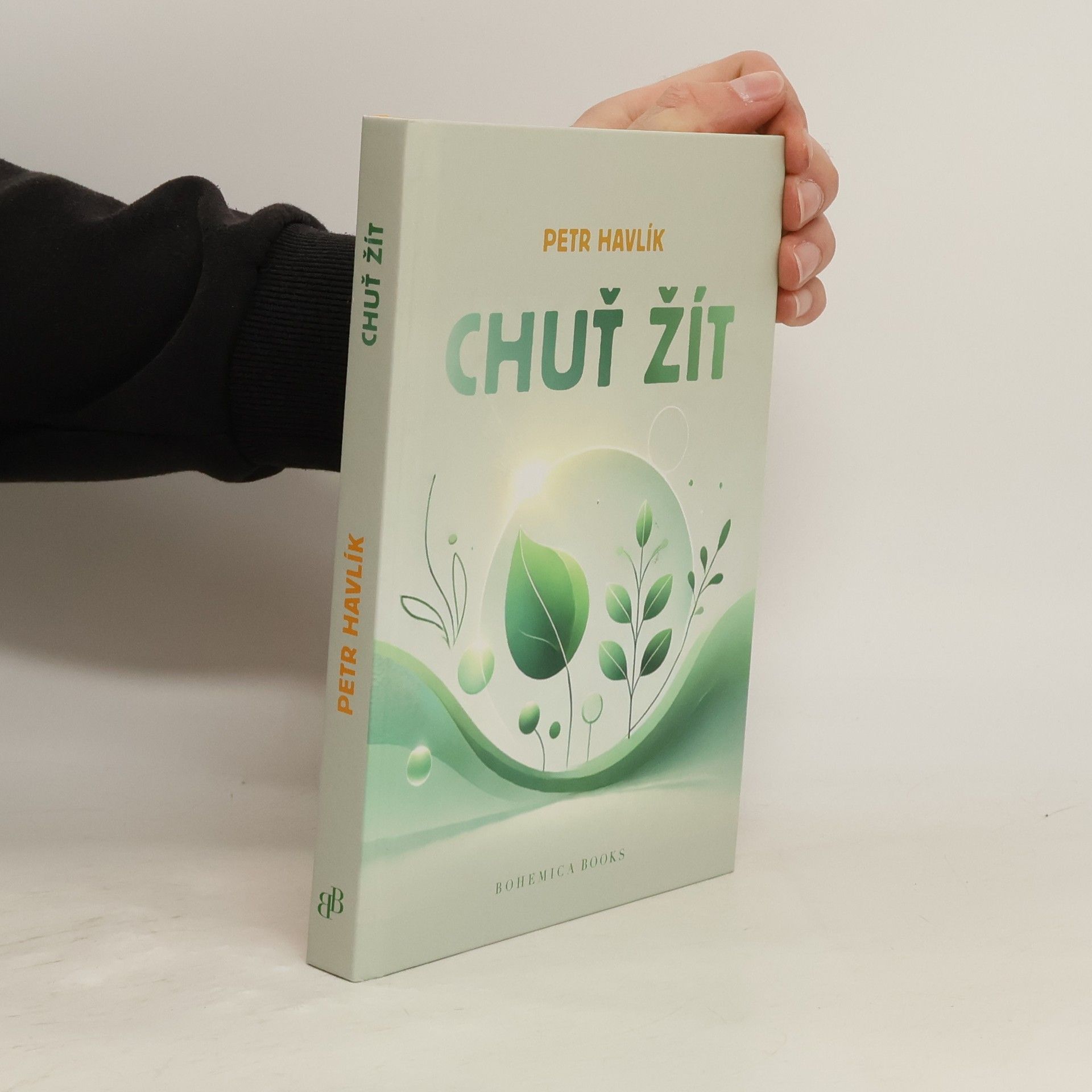 Petr Havlík Chuť žít