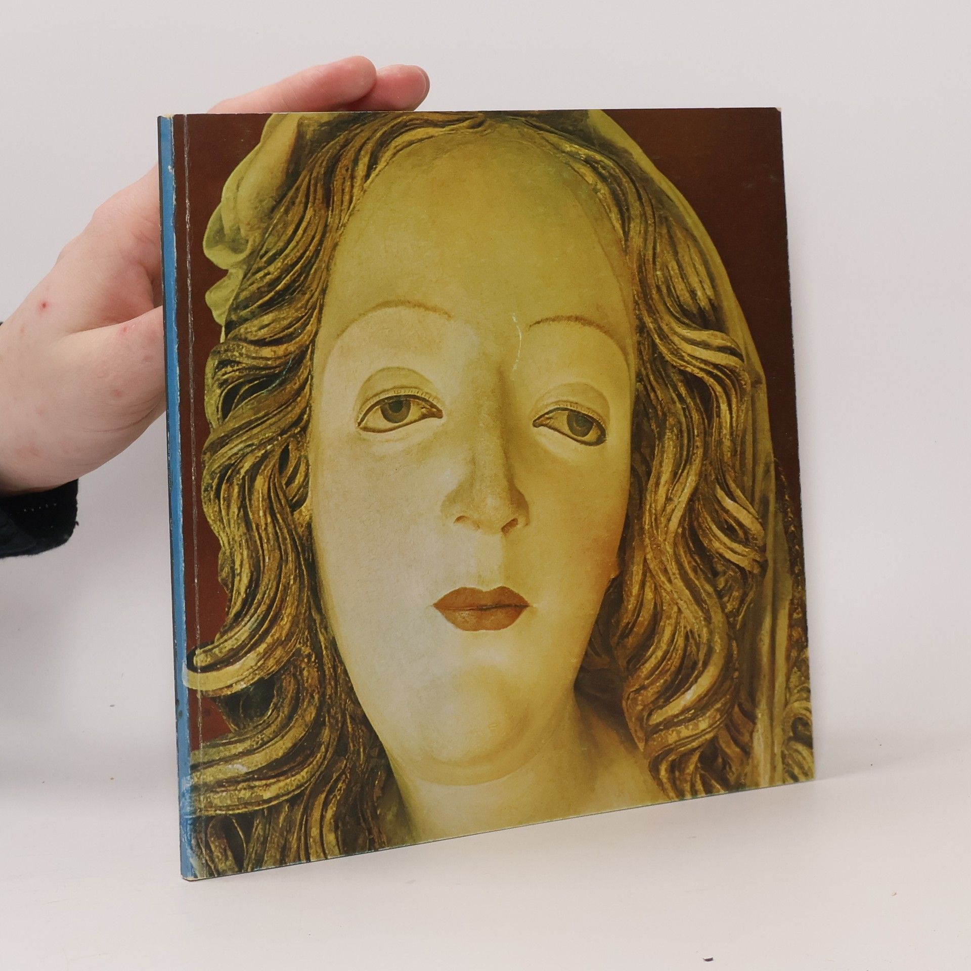 Collectif d'auteurs Znovu, Objavená krása Gotiky